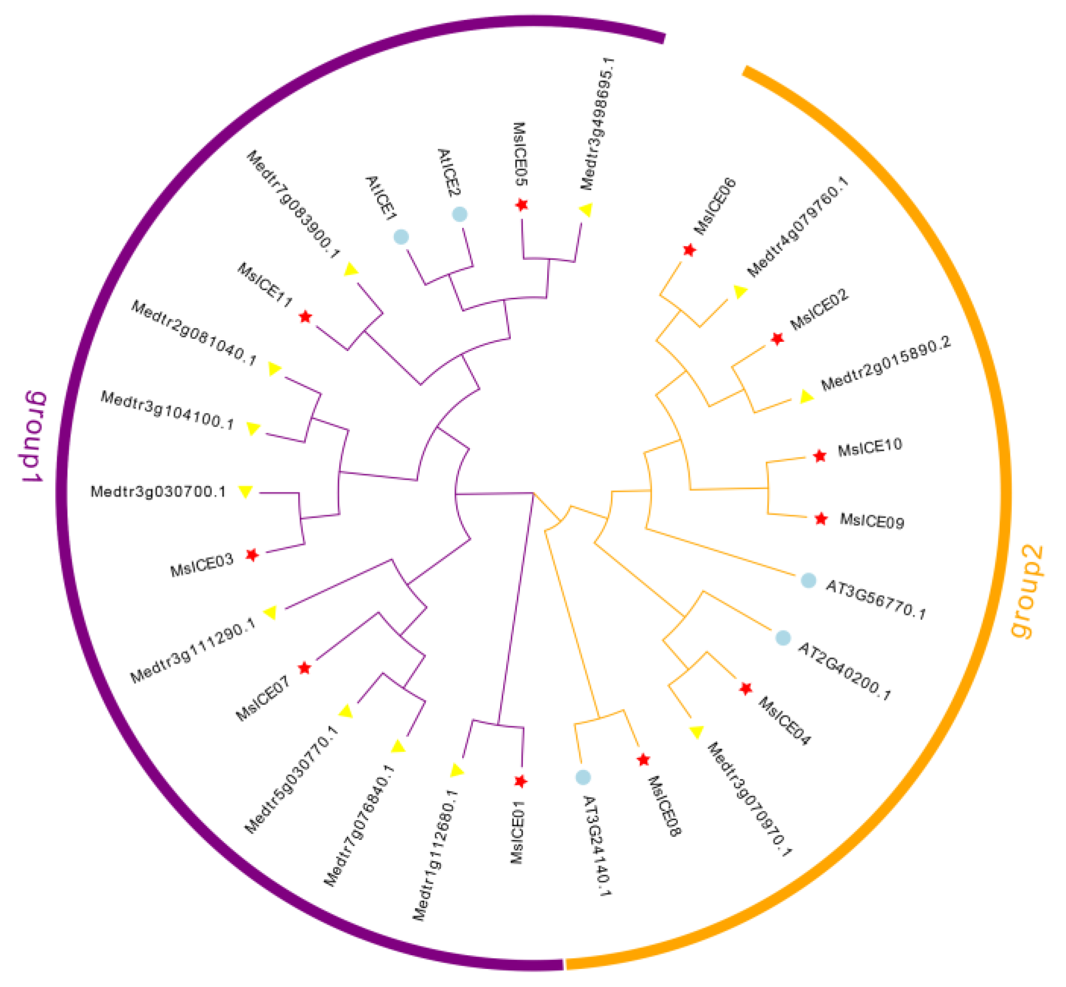 Agronomy 14 02064 g003