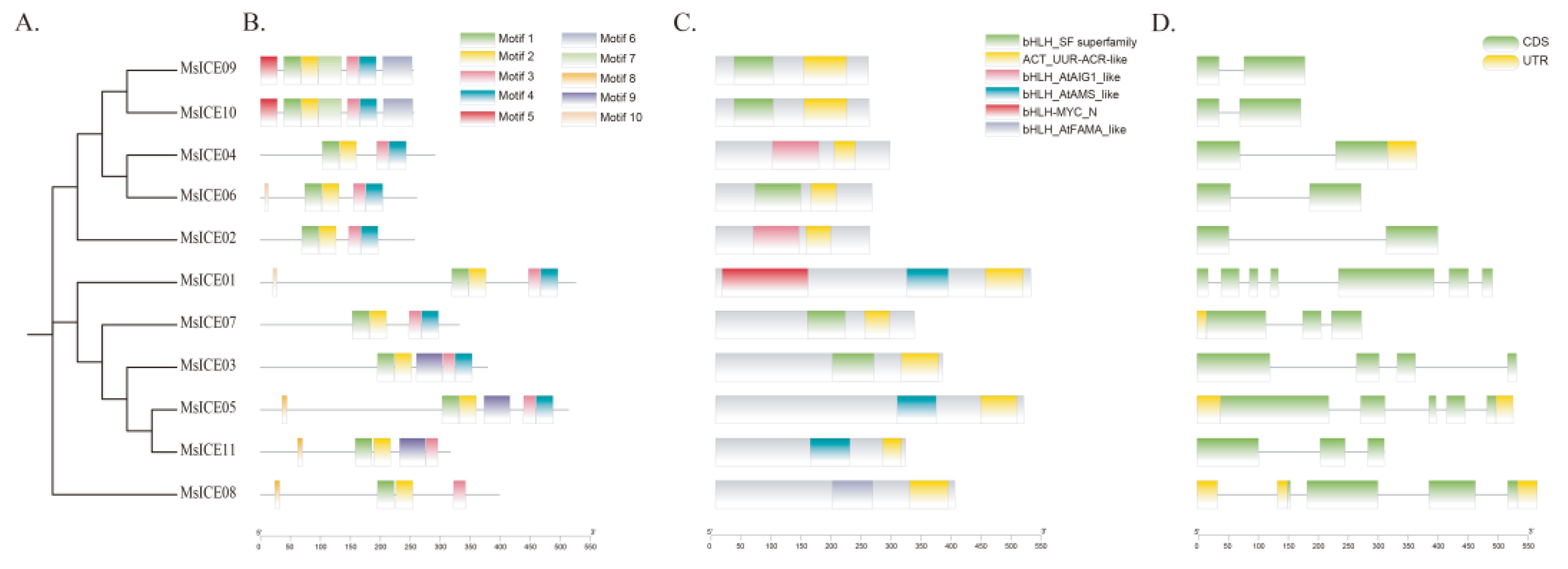 Agronomy 14 02064 g004