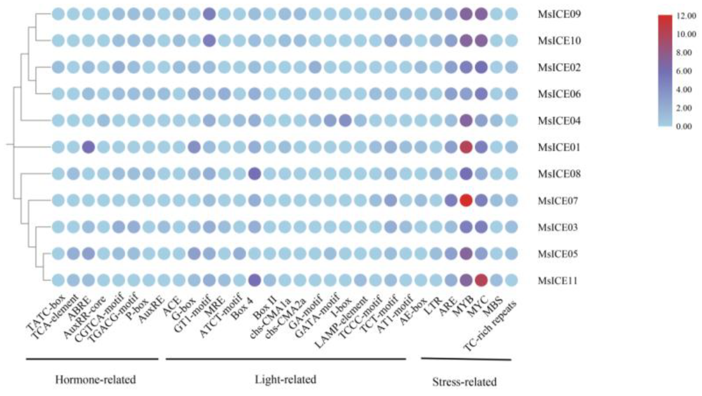 Agronomy 14 02064 g005