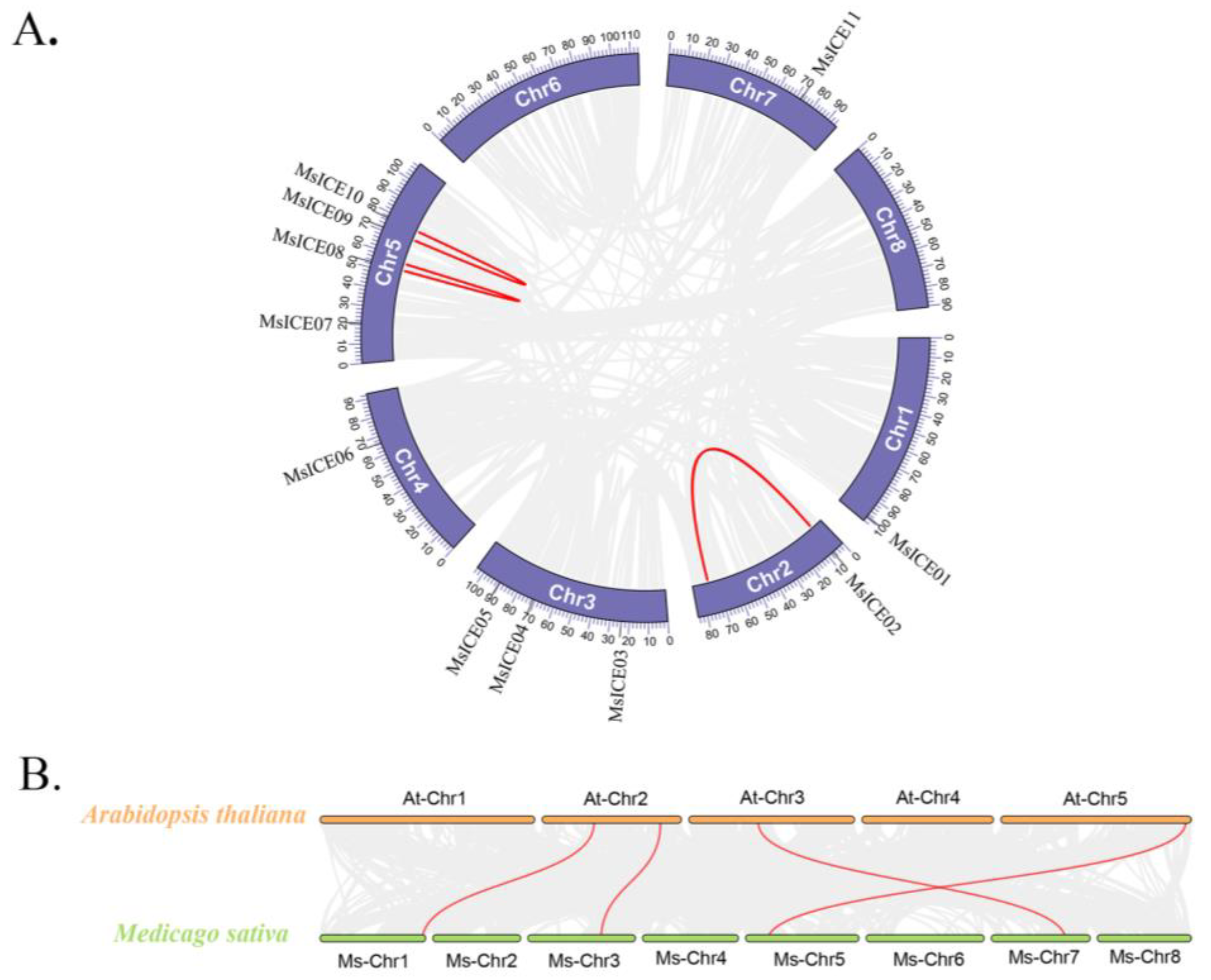 Agronomy 14 02064 g006
