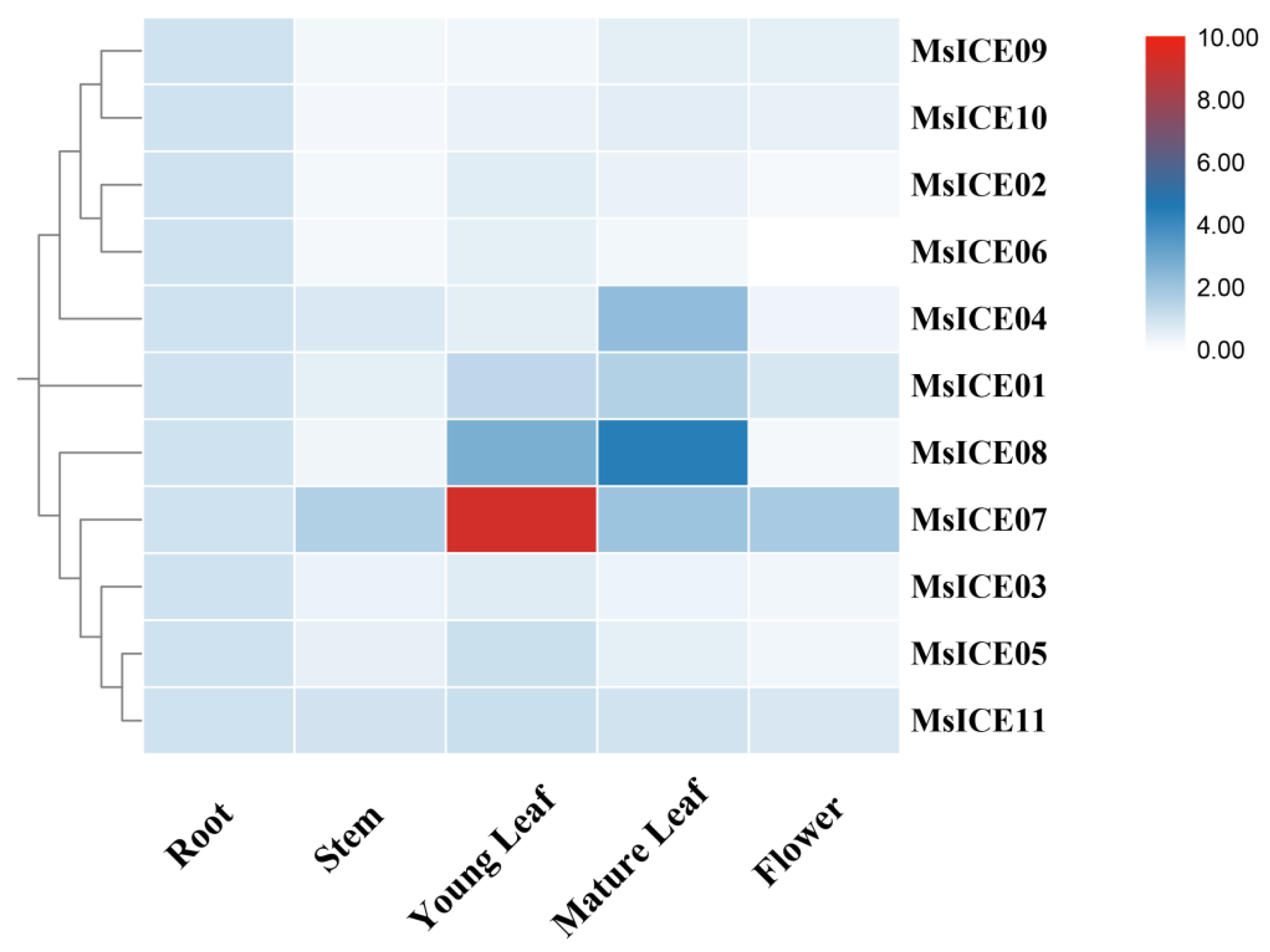 Agronomy 14 02064 g007