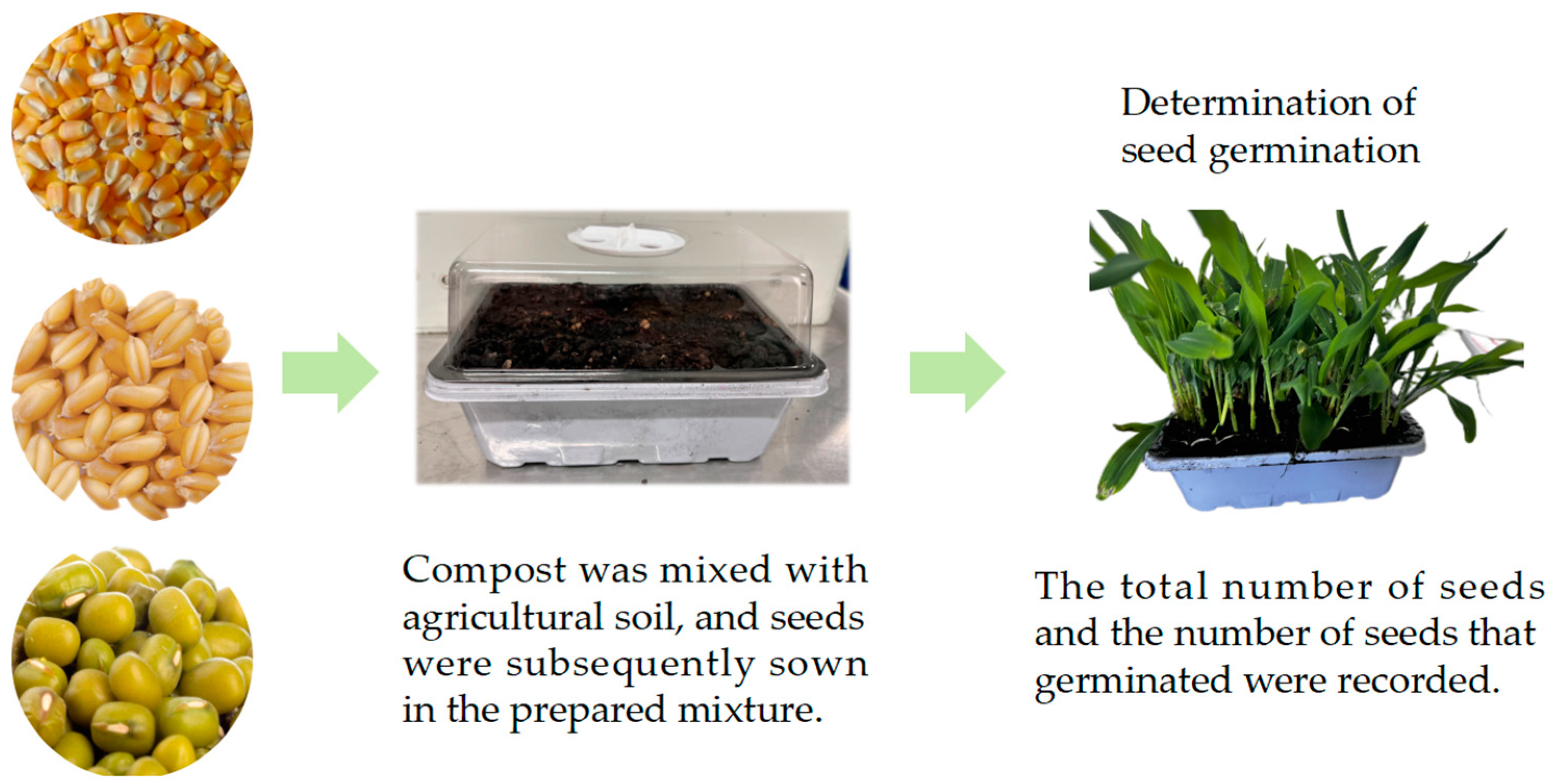 Agronomy 14 02083 g005 Agronomy 14 02083 g005