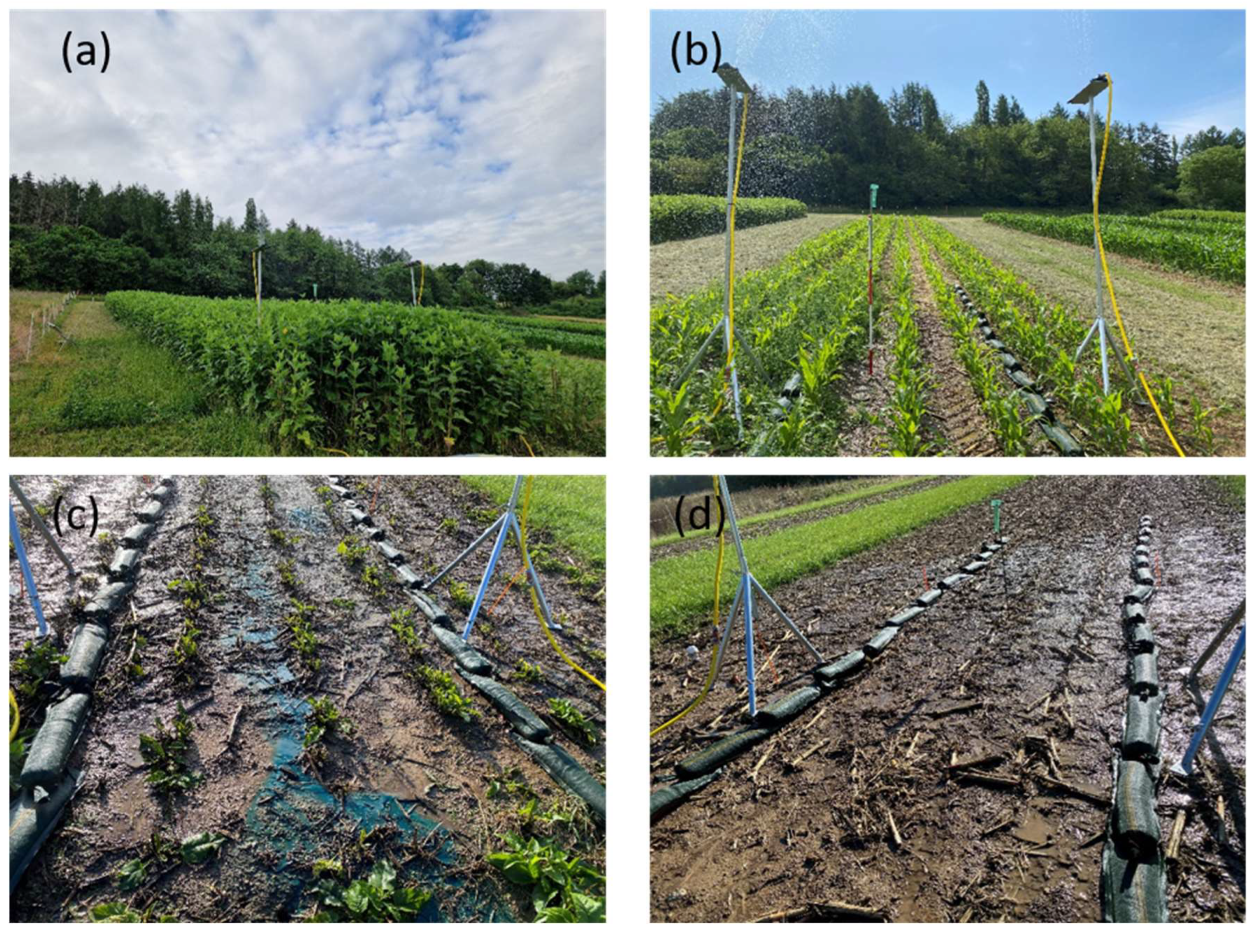 Agronomy 14 02097 g002