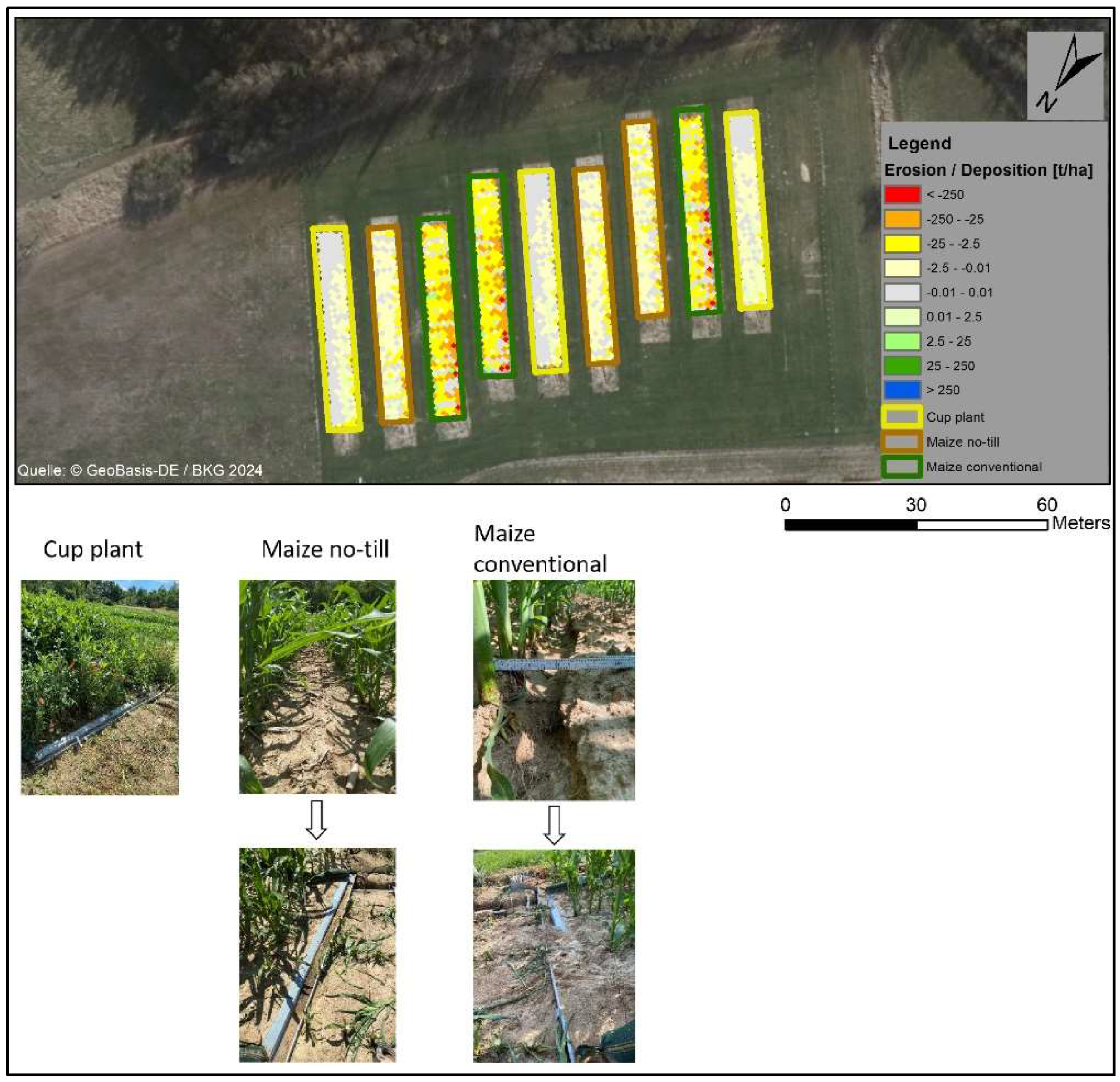Agronomy 14 02097 g004