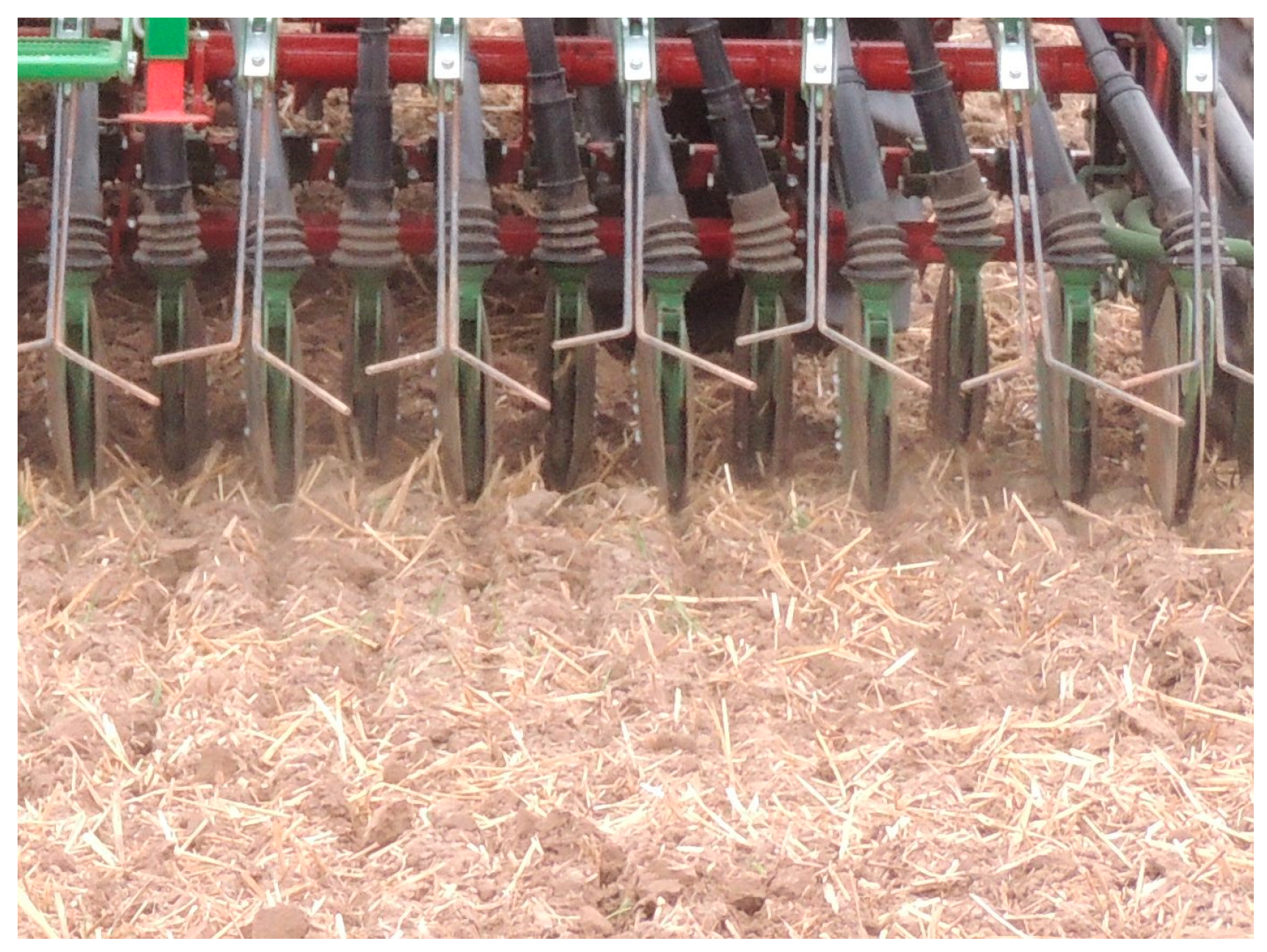 Agronomy 14 02104 g001