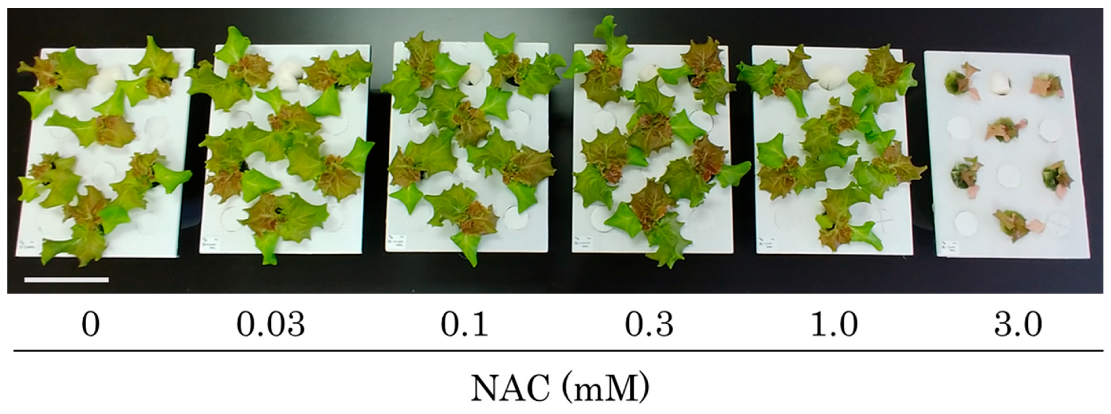 Agronomy 14 02112 g001