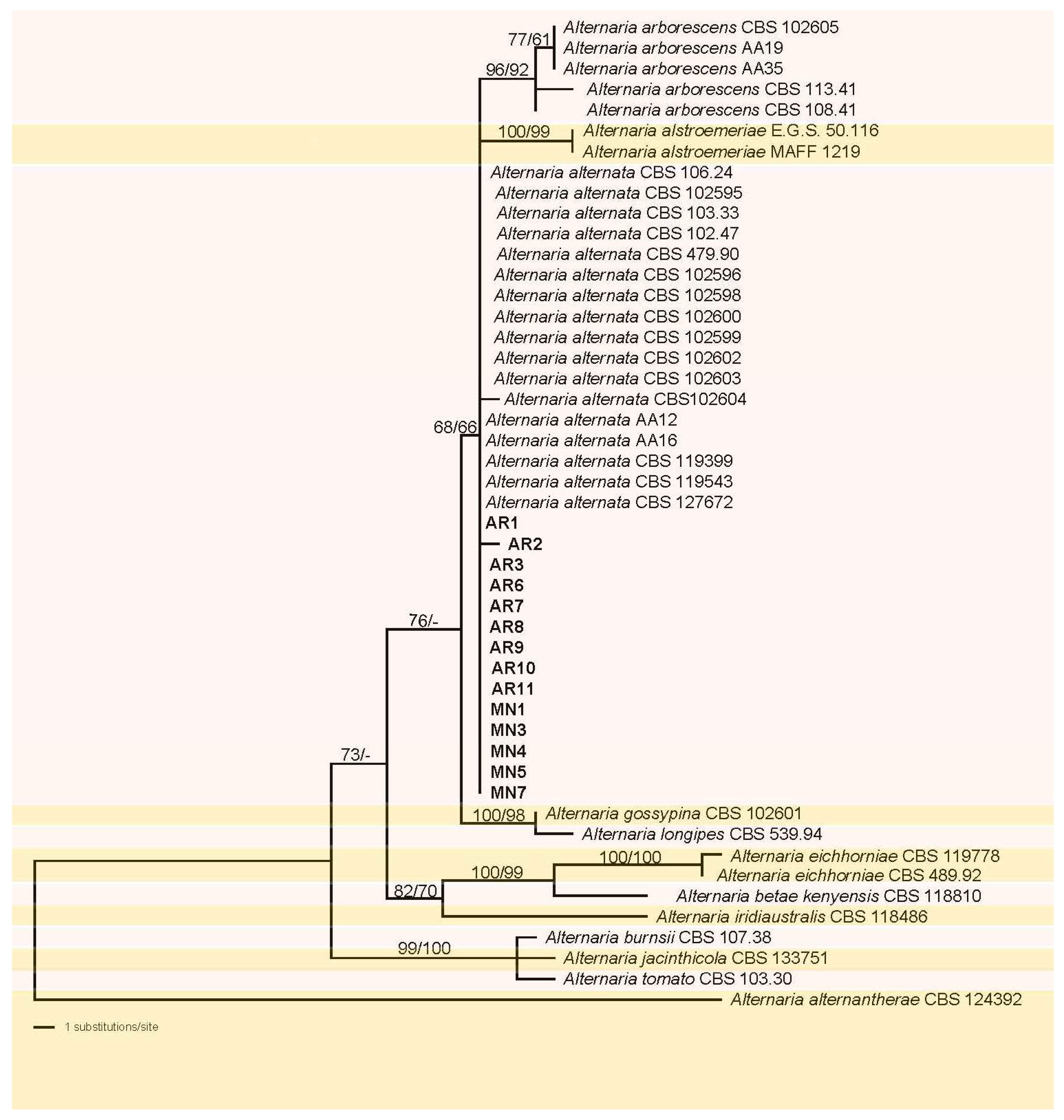 Agronomy 14 02116 g001