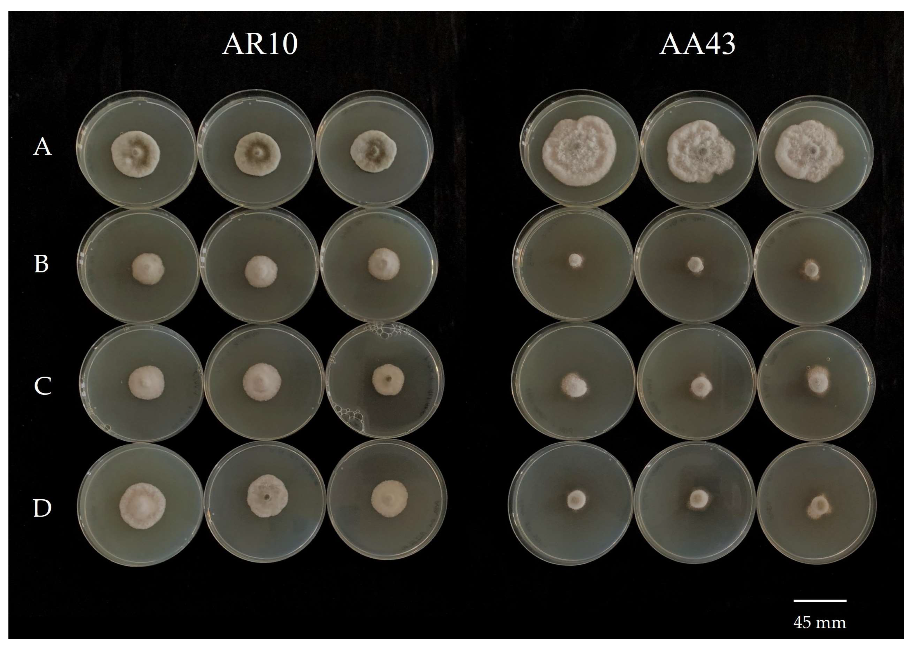 Agronomy 14 02116 g003