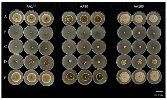 Agronomy 14 02116 g005