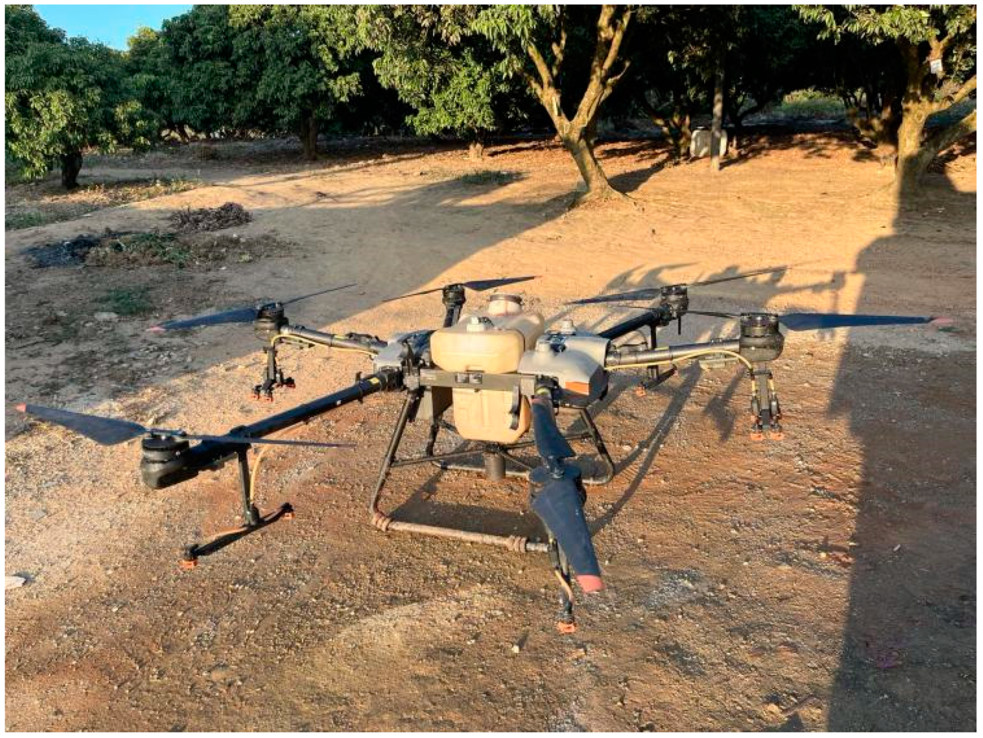 Agronomy 14 02125 g001