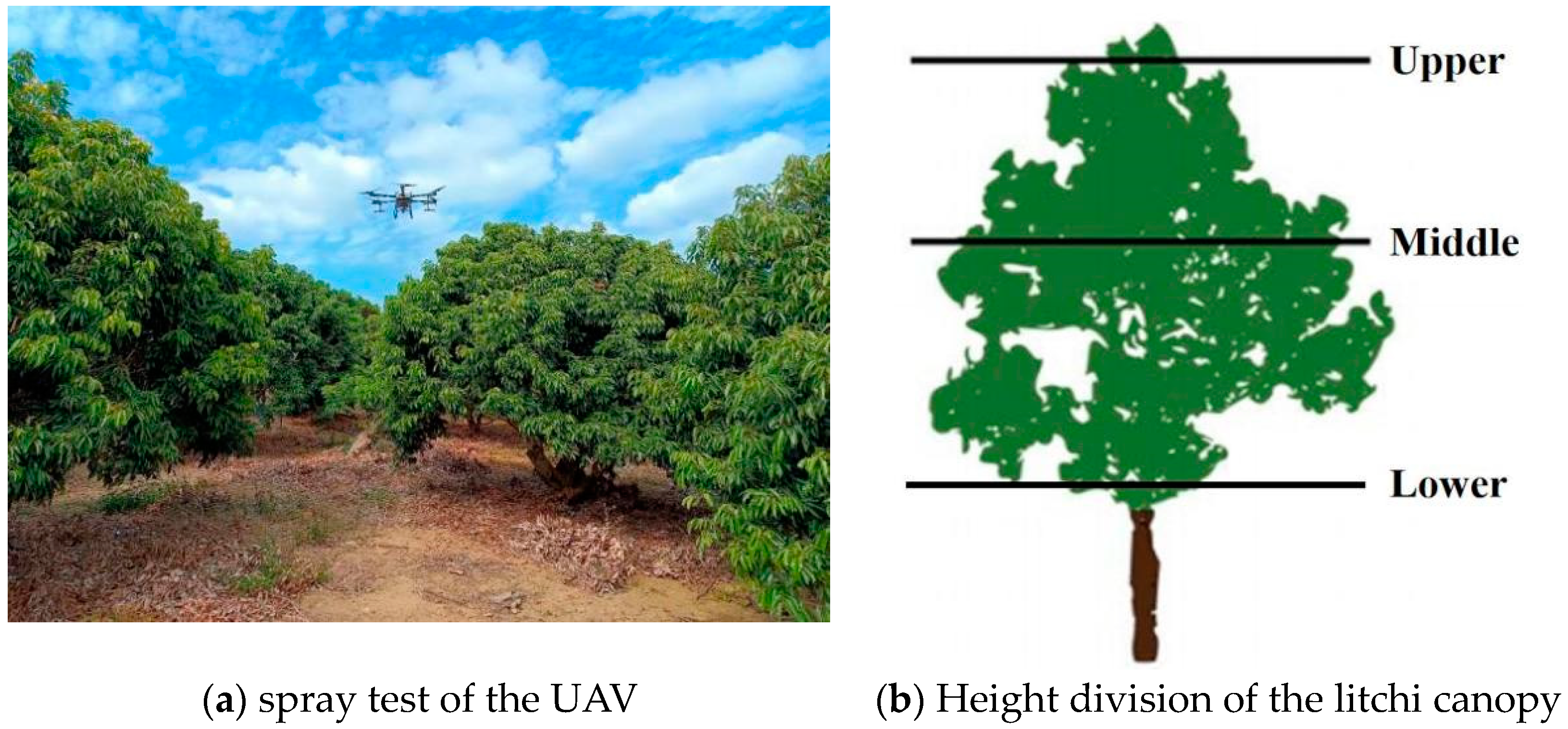 Agronomy 14 02125 g002