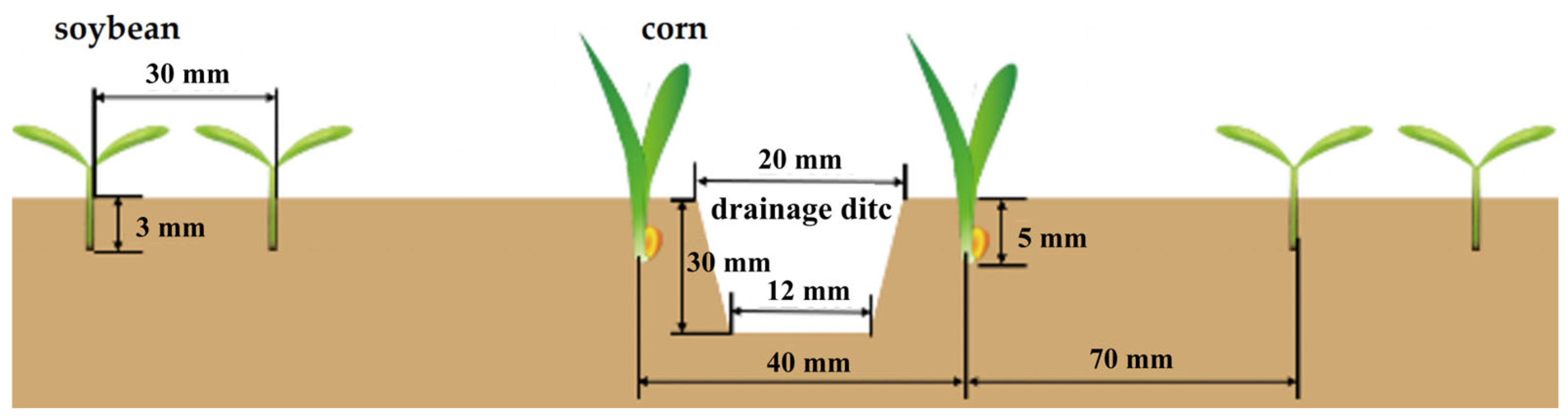 Agronomy 14 02136 g001