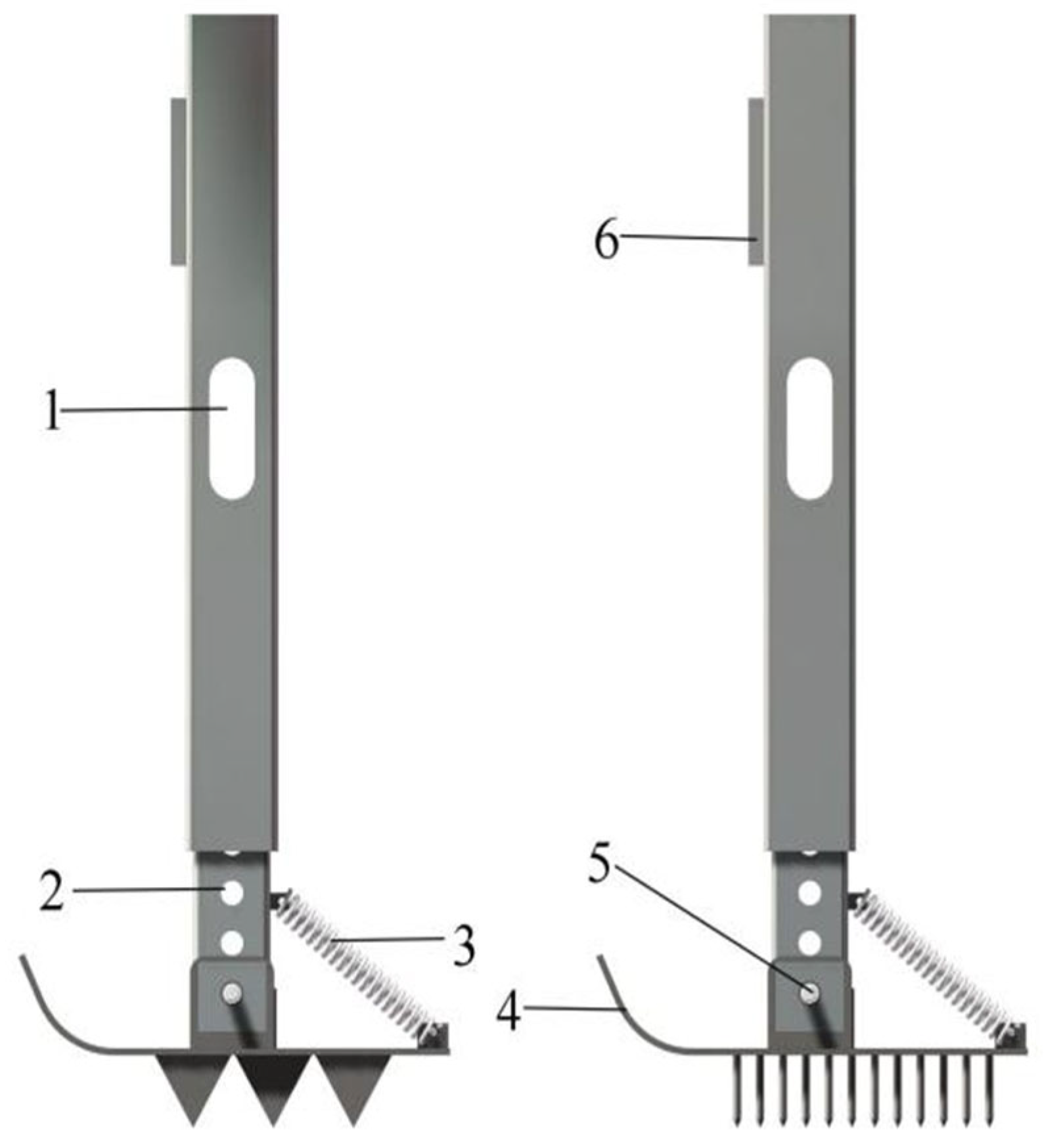 Agronomy 14 02136 g004