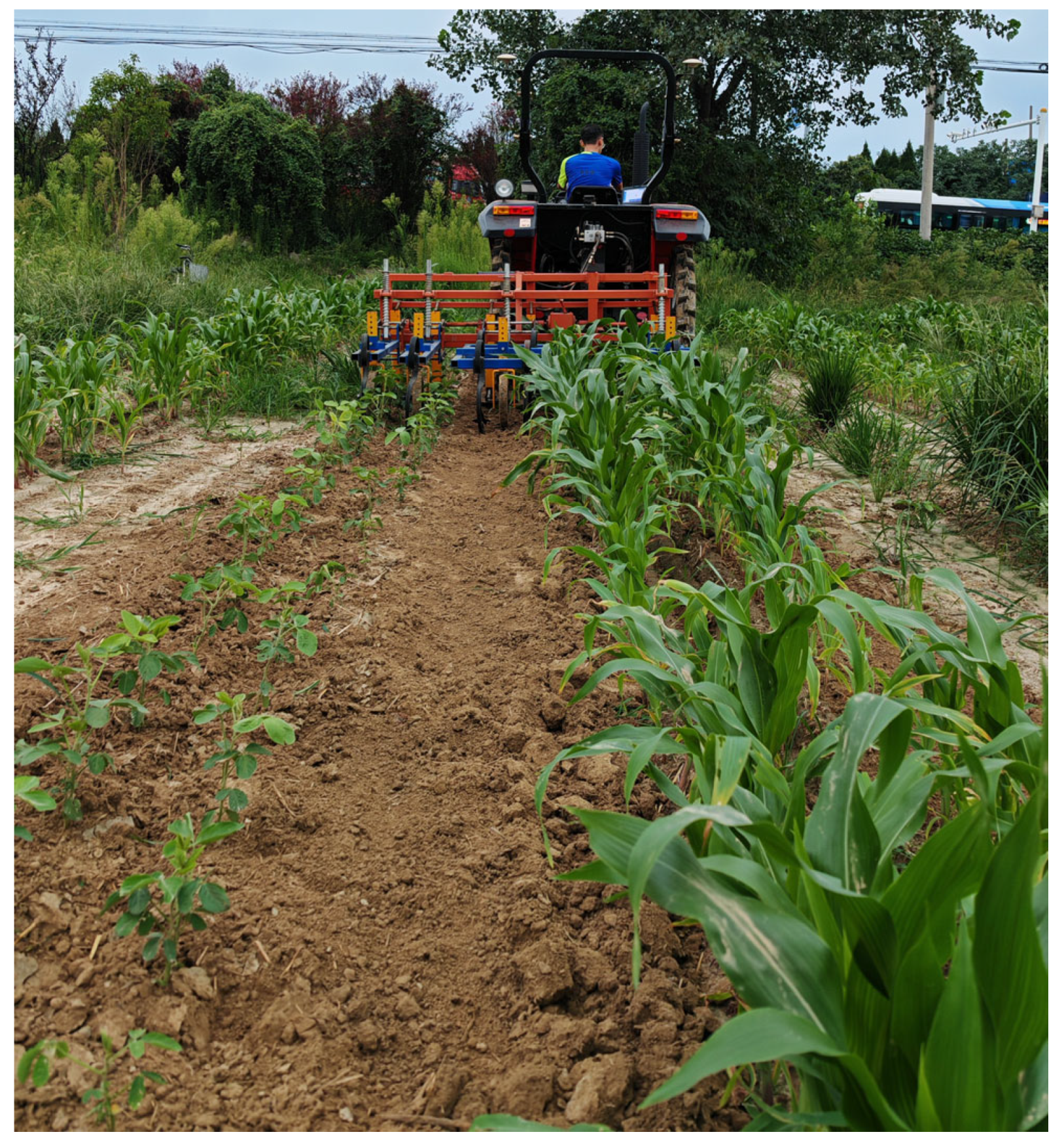 Agronomy 14 02136 g013