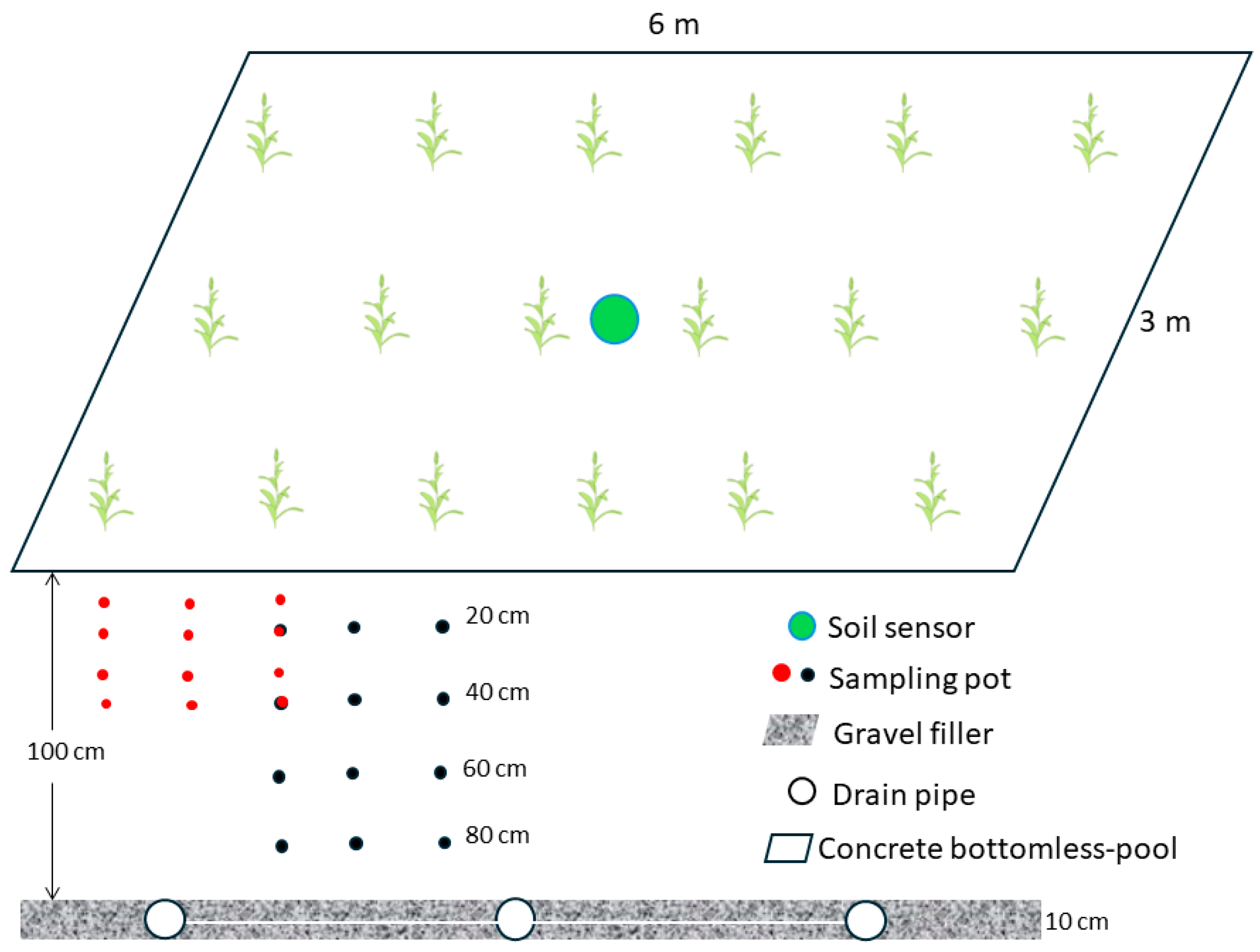 Agronomy 14 02139 g002 Agronomy 14 02139 g002