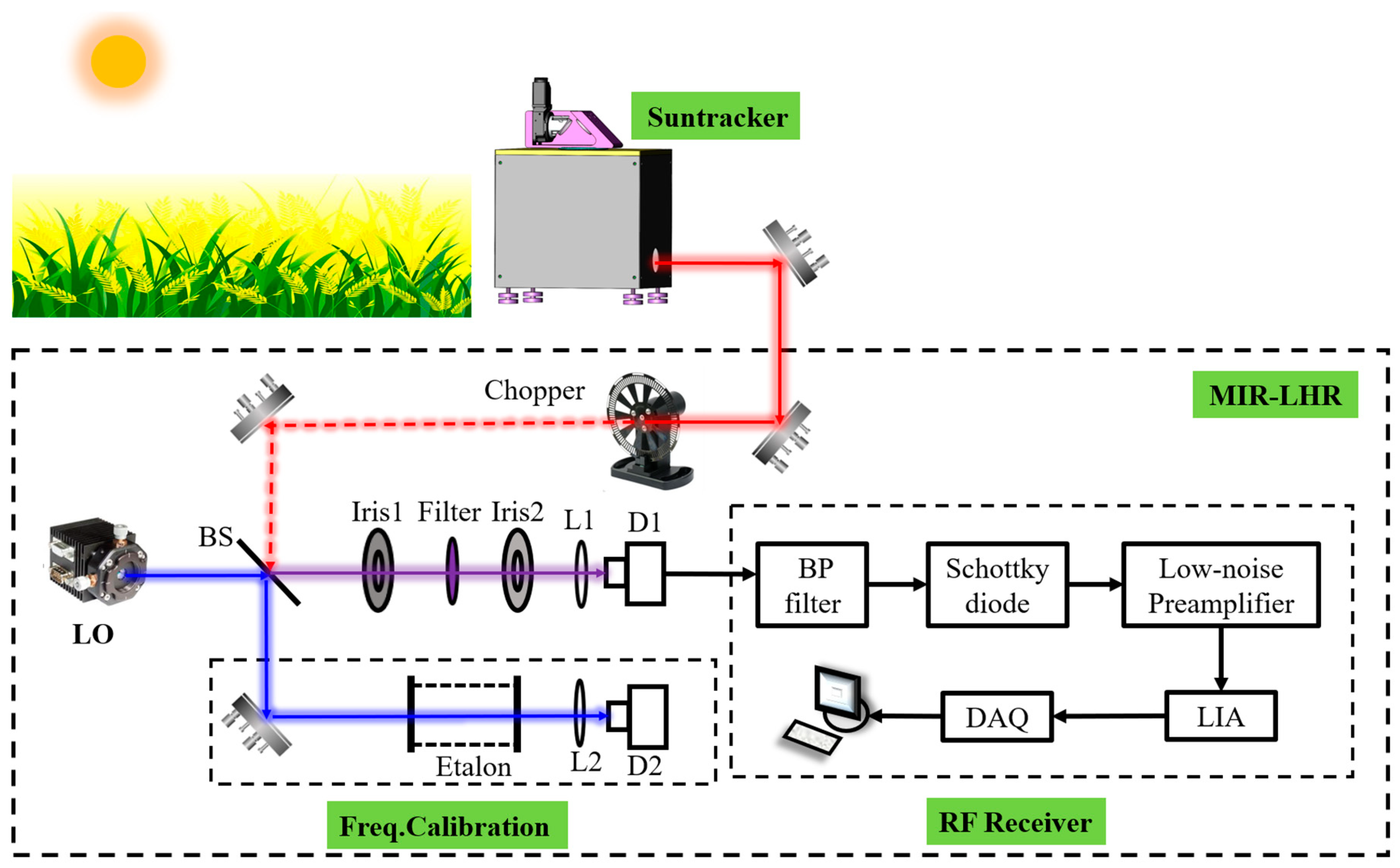 Agronomy 14 02162 g001 Agronomy 14 02162 g001