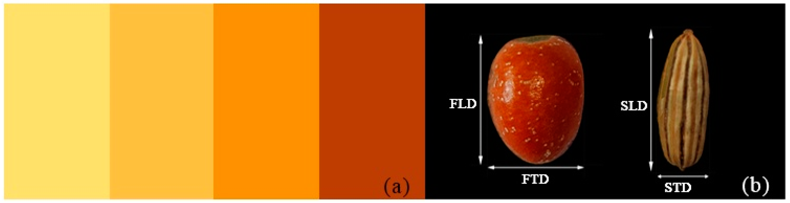Agronomy 14 02165 g001