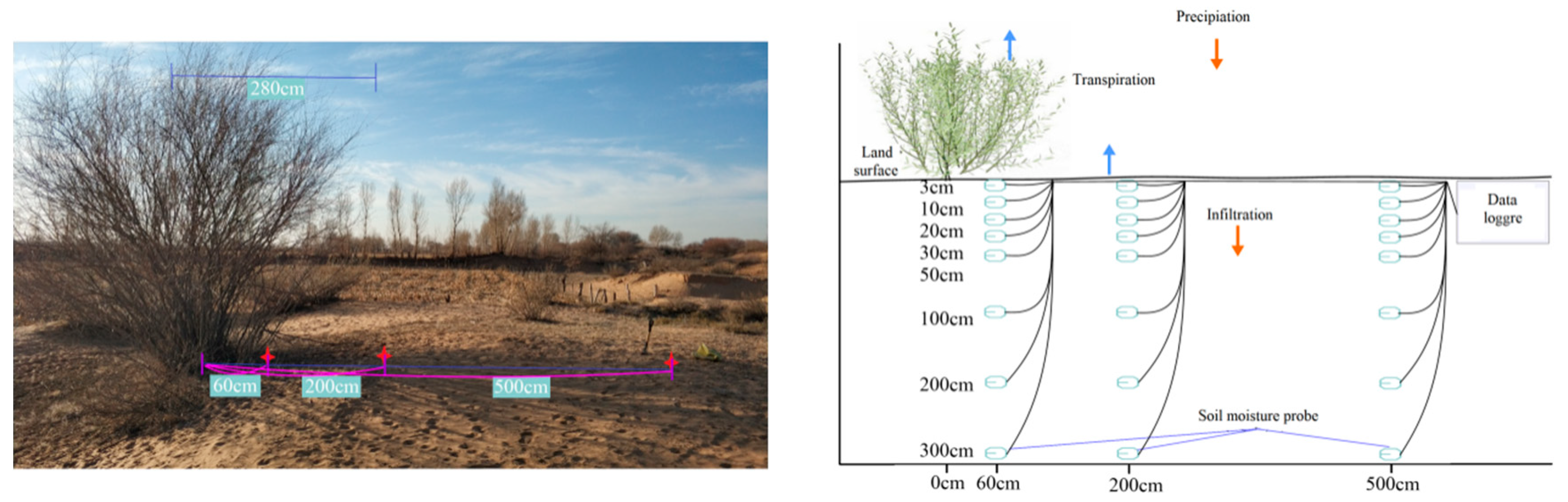 Agronomy 14 02200 g002