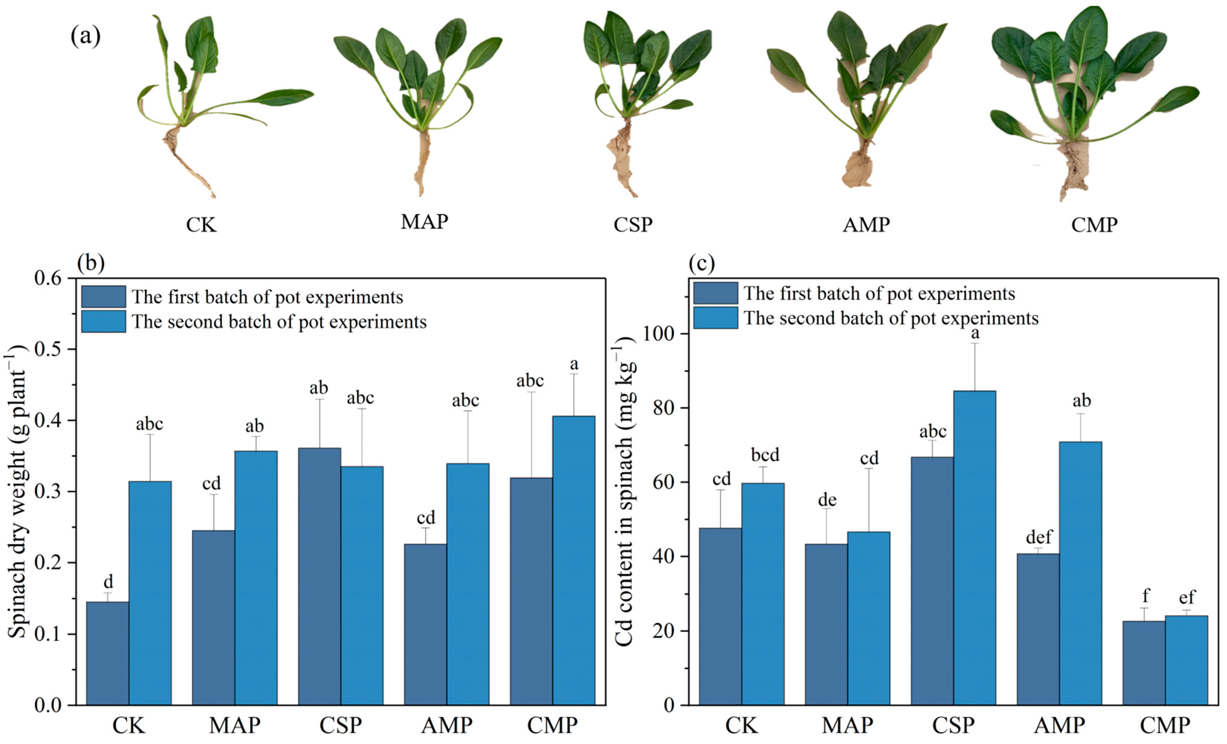 Agronomy 14 02201 g003 Agronomy 14 02201 g003