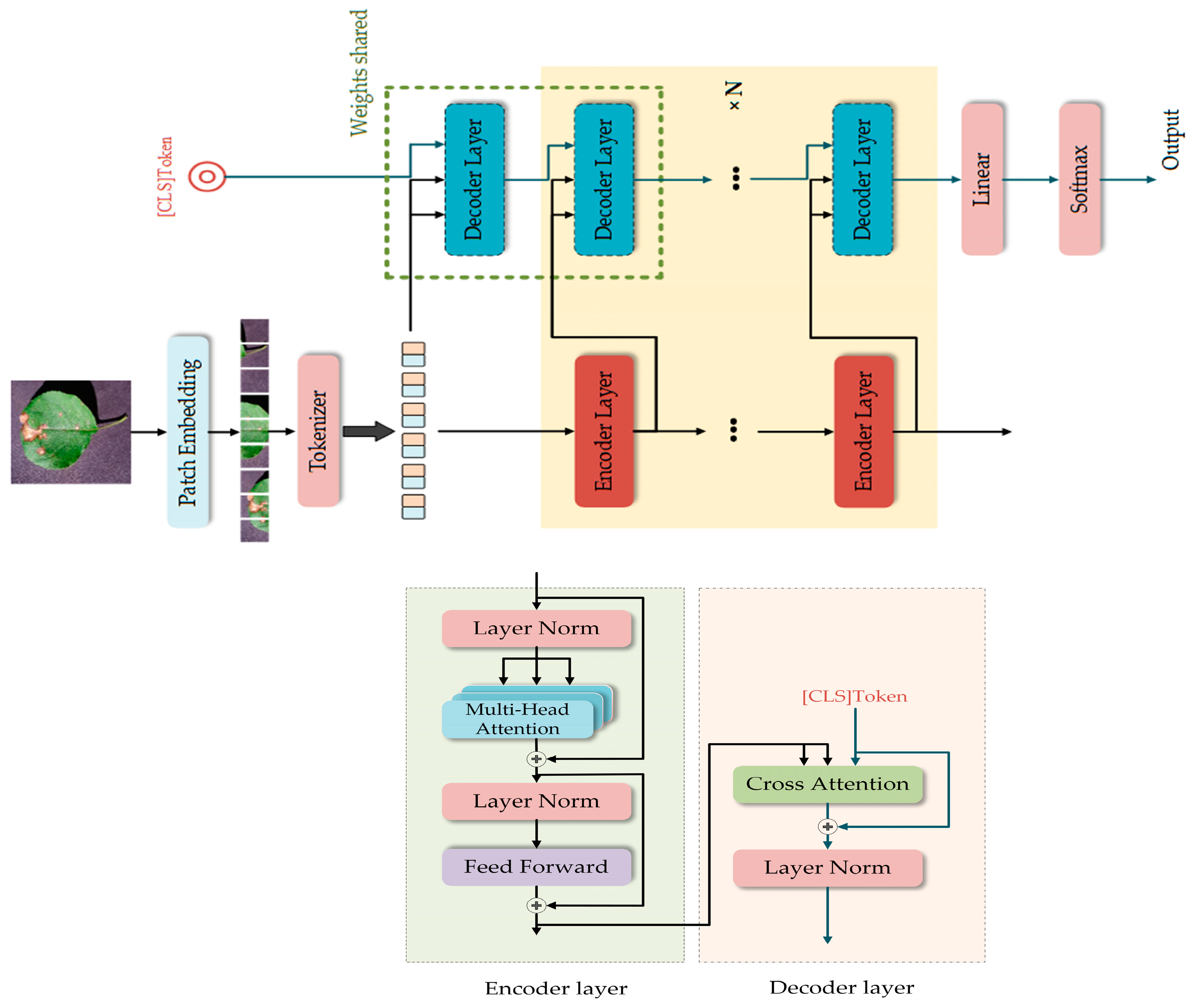 Agronomy 14 02208 g002