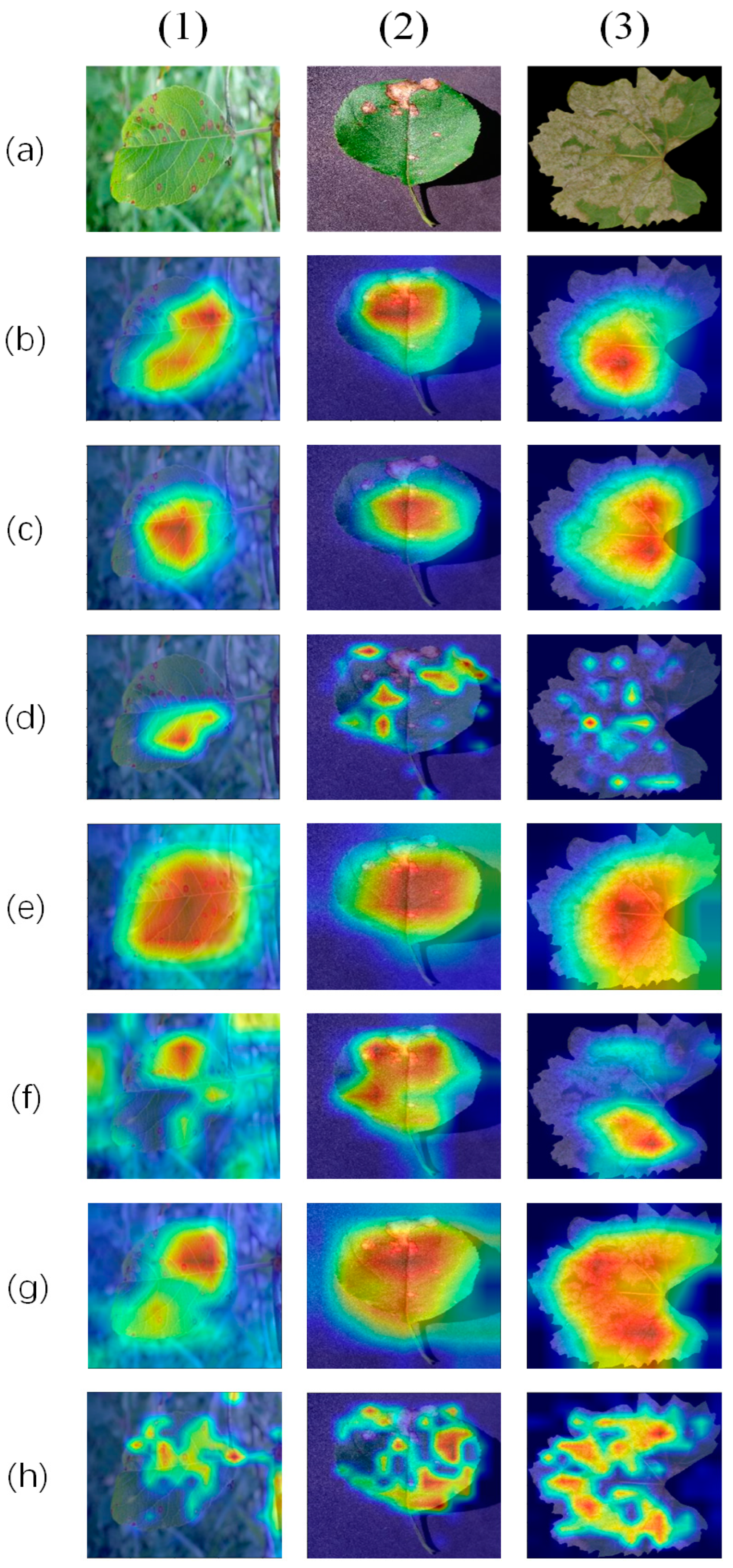 Agronomy 14 02208 g011