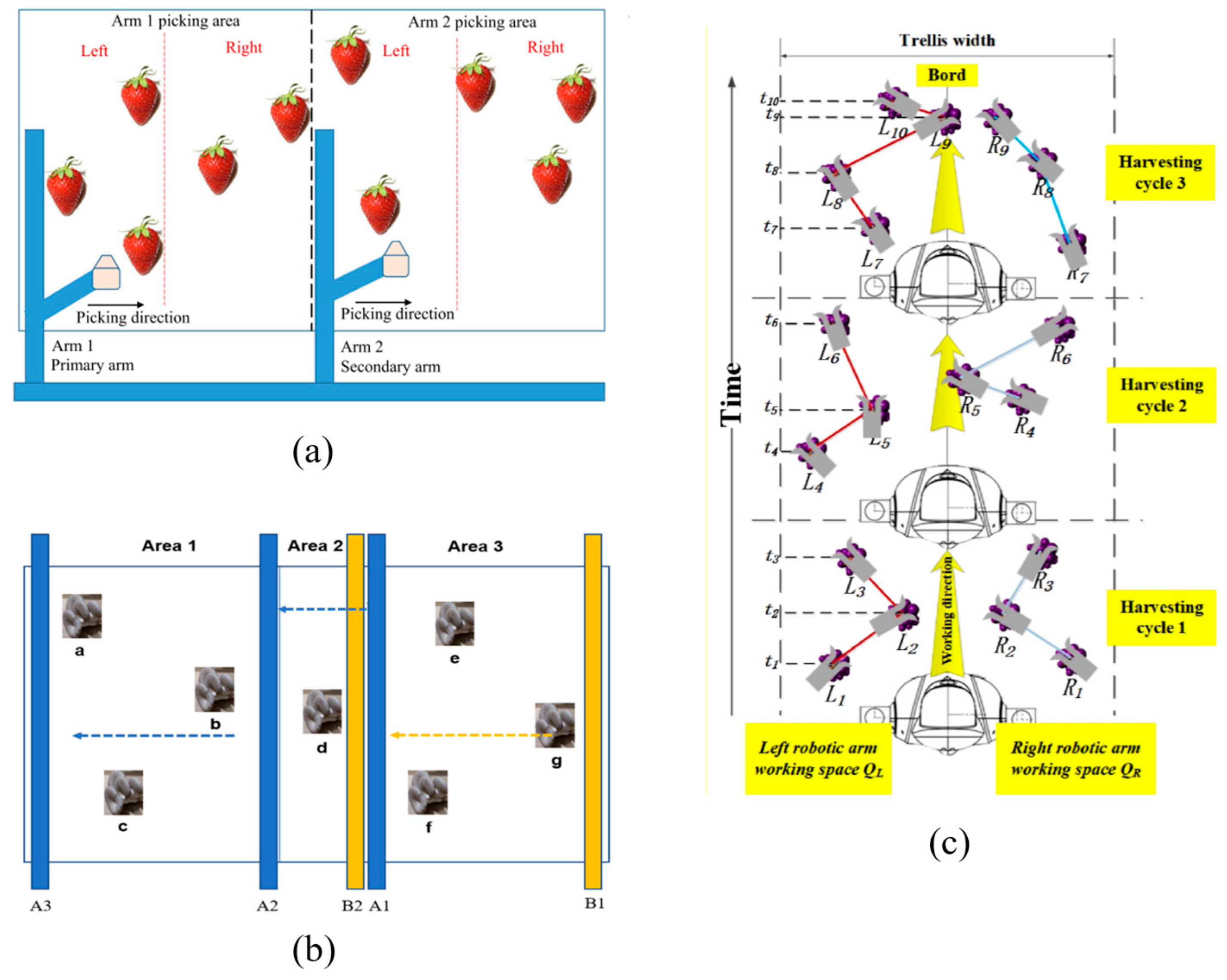 Agronomy 14 02209 g007
