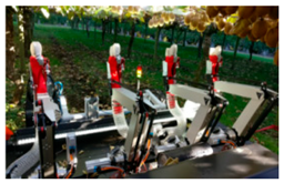 Agronomy 14 02209 i001