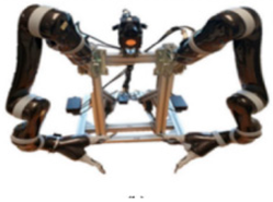 Agronomy 14 02209 i009