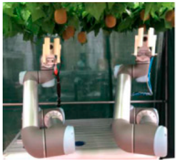 Agronomy 14 02209 i011