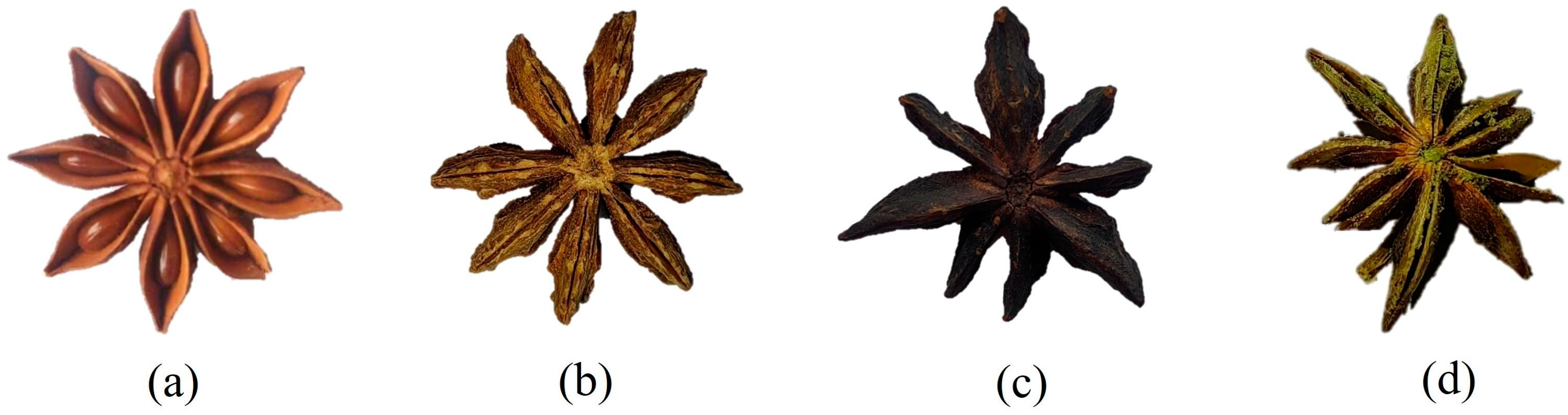 Agronomy 14 02211 g001