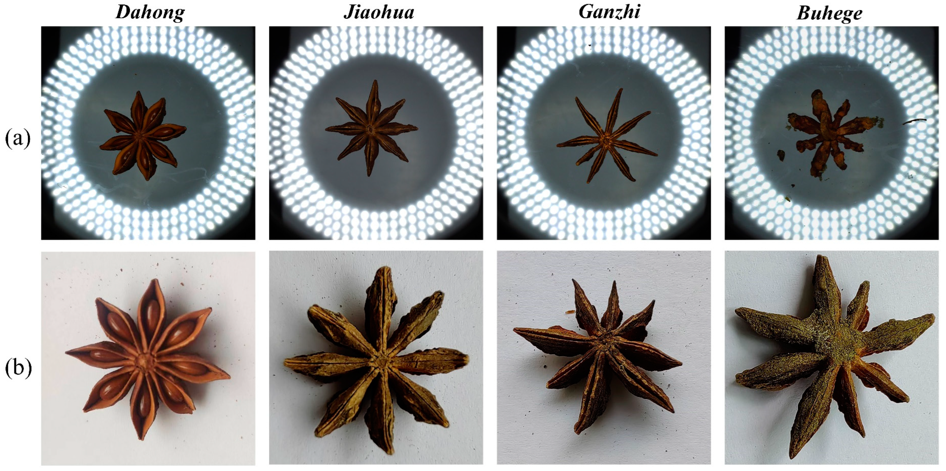 Agronomy 14 02211 g003