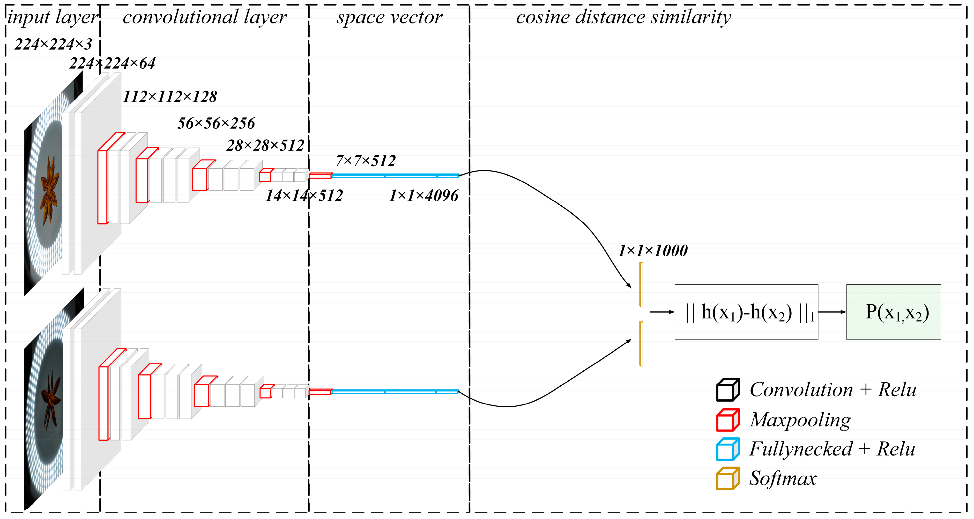 Agronomy 14 02211 g004