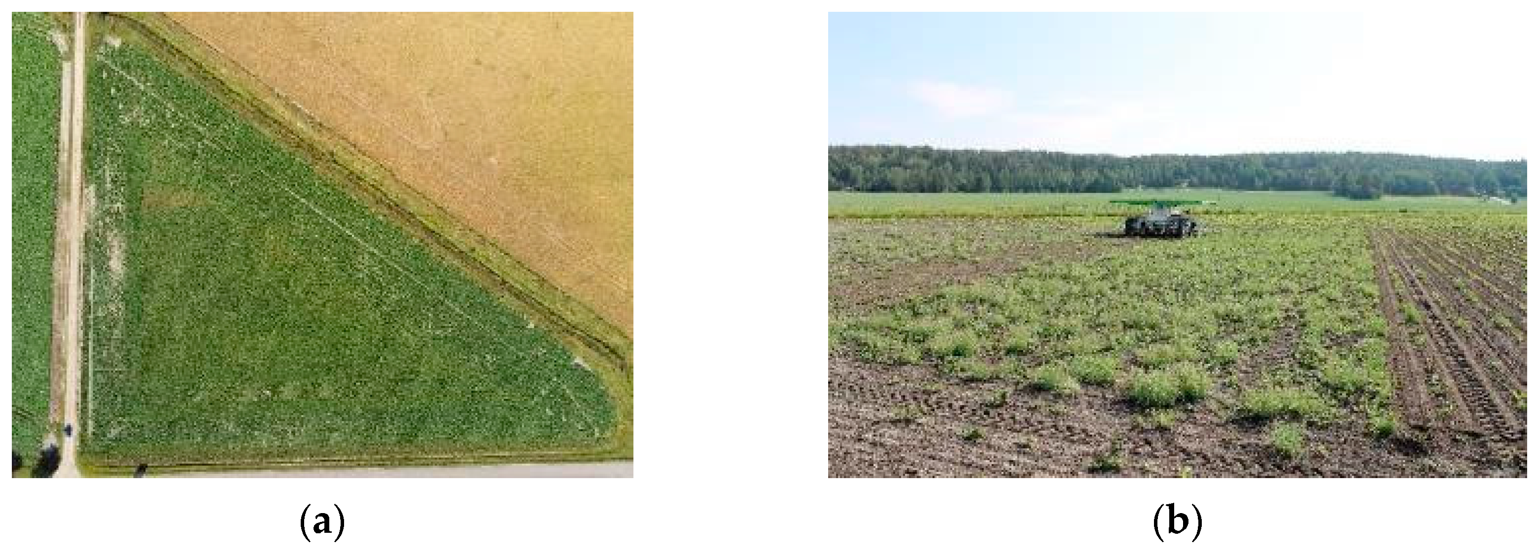 Agronomy 14 02215 g001