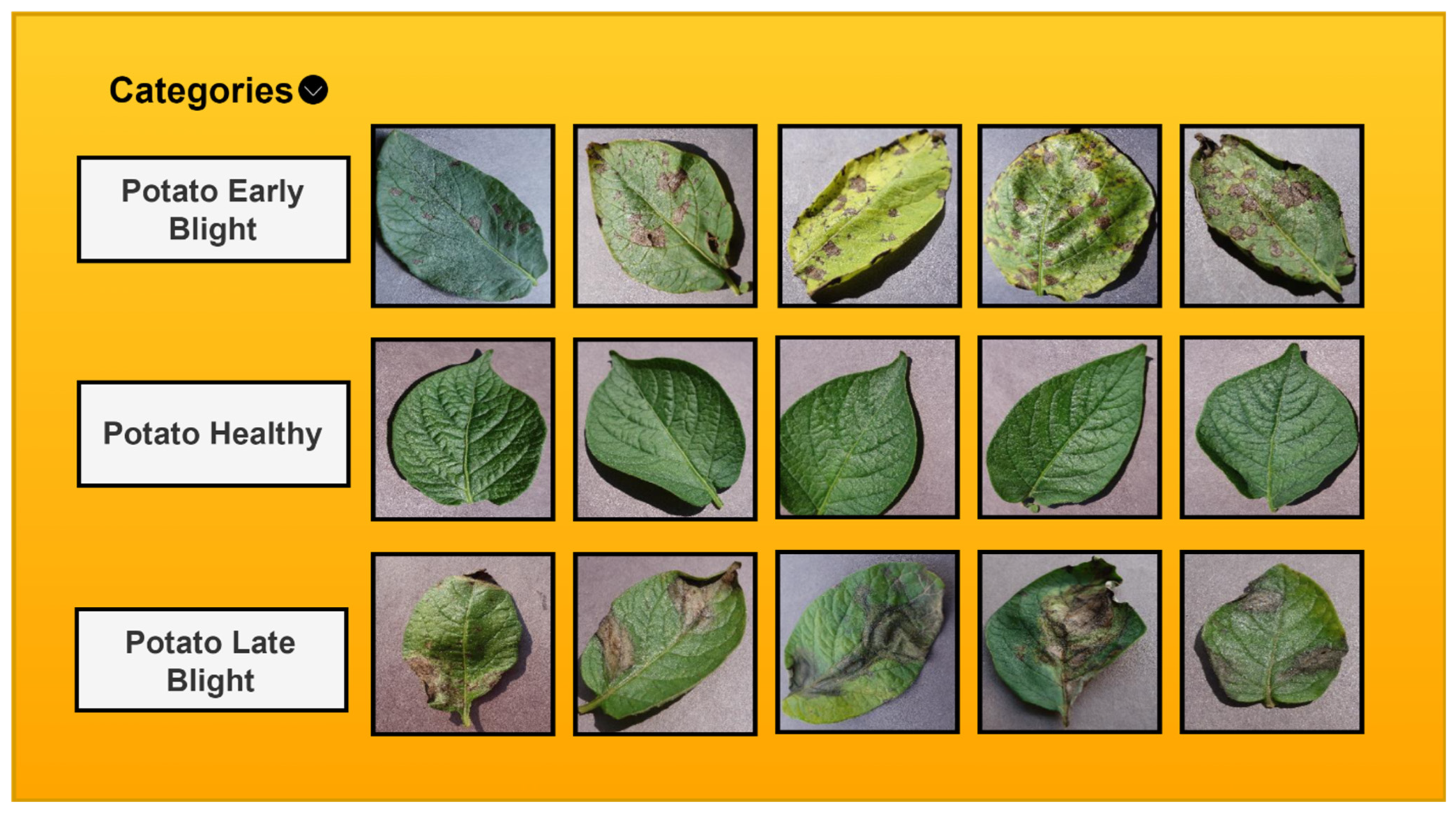 Agronomy 14 02230 g003