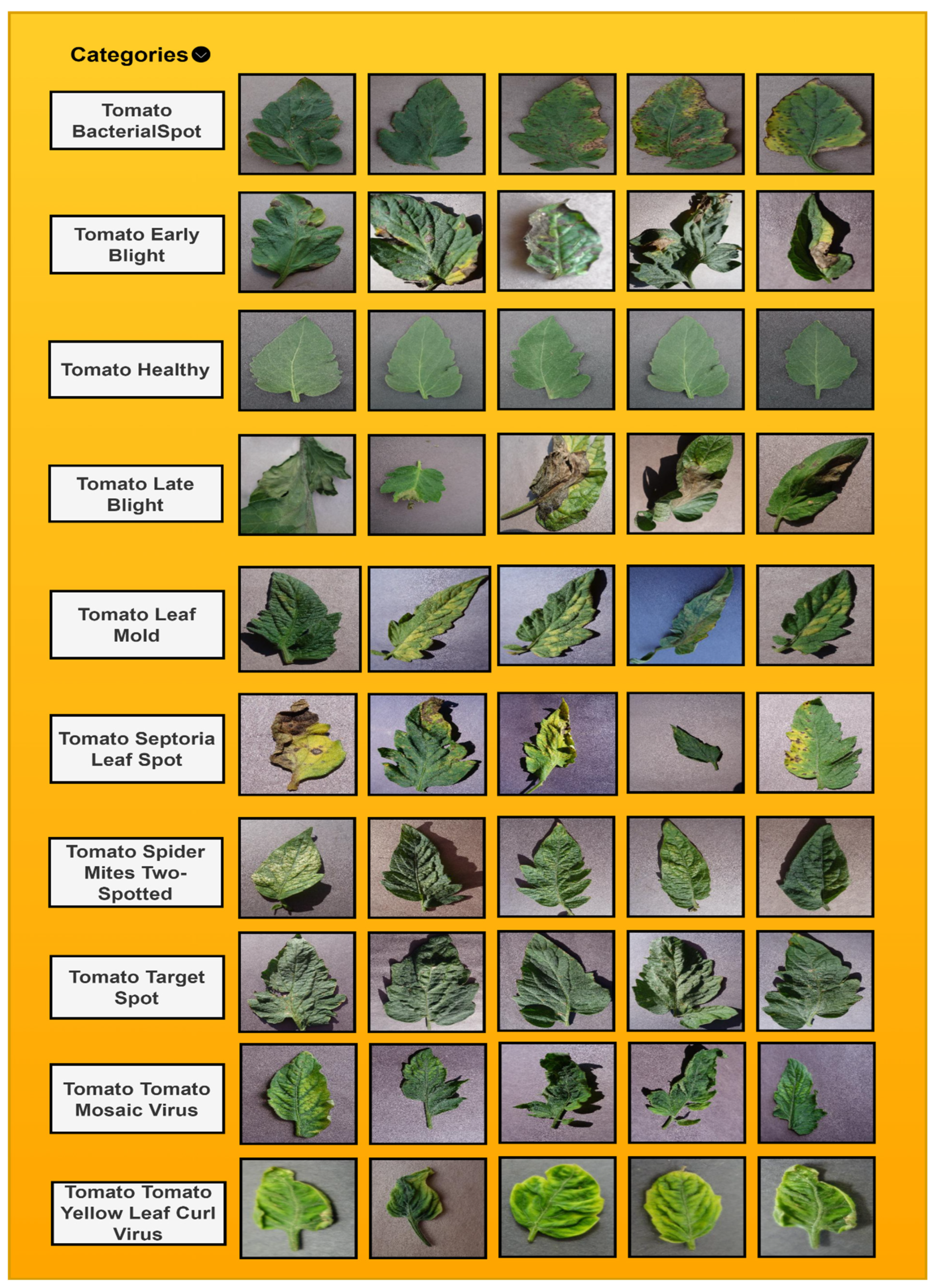 Agronomy 14 02230 g004