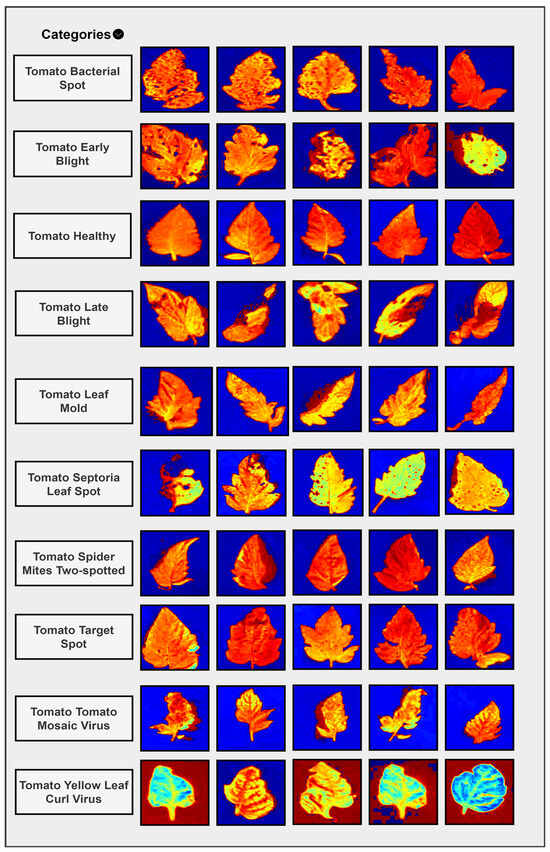 Agronomy 14 02230 g008