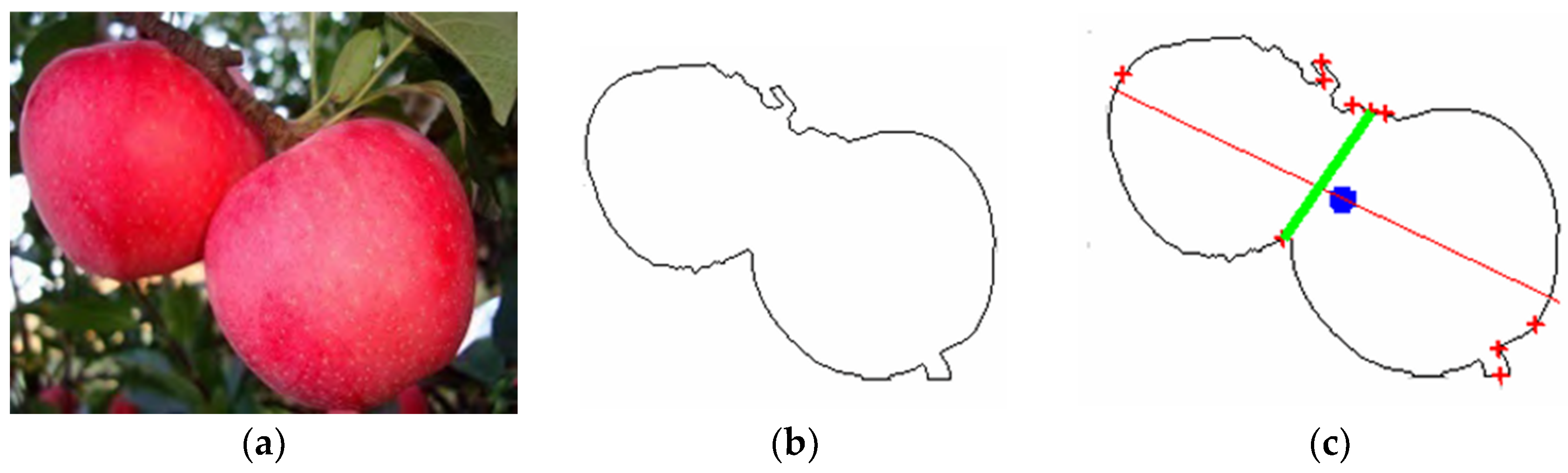 Agronomy 14 02233 g004