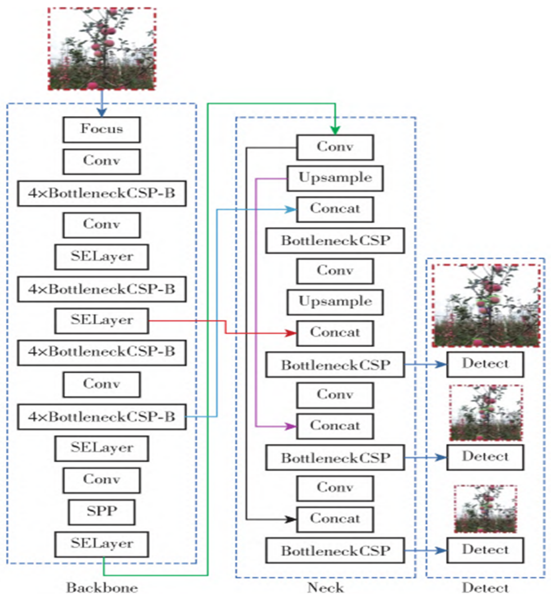 Agronomy 14 02233 g005