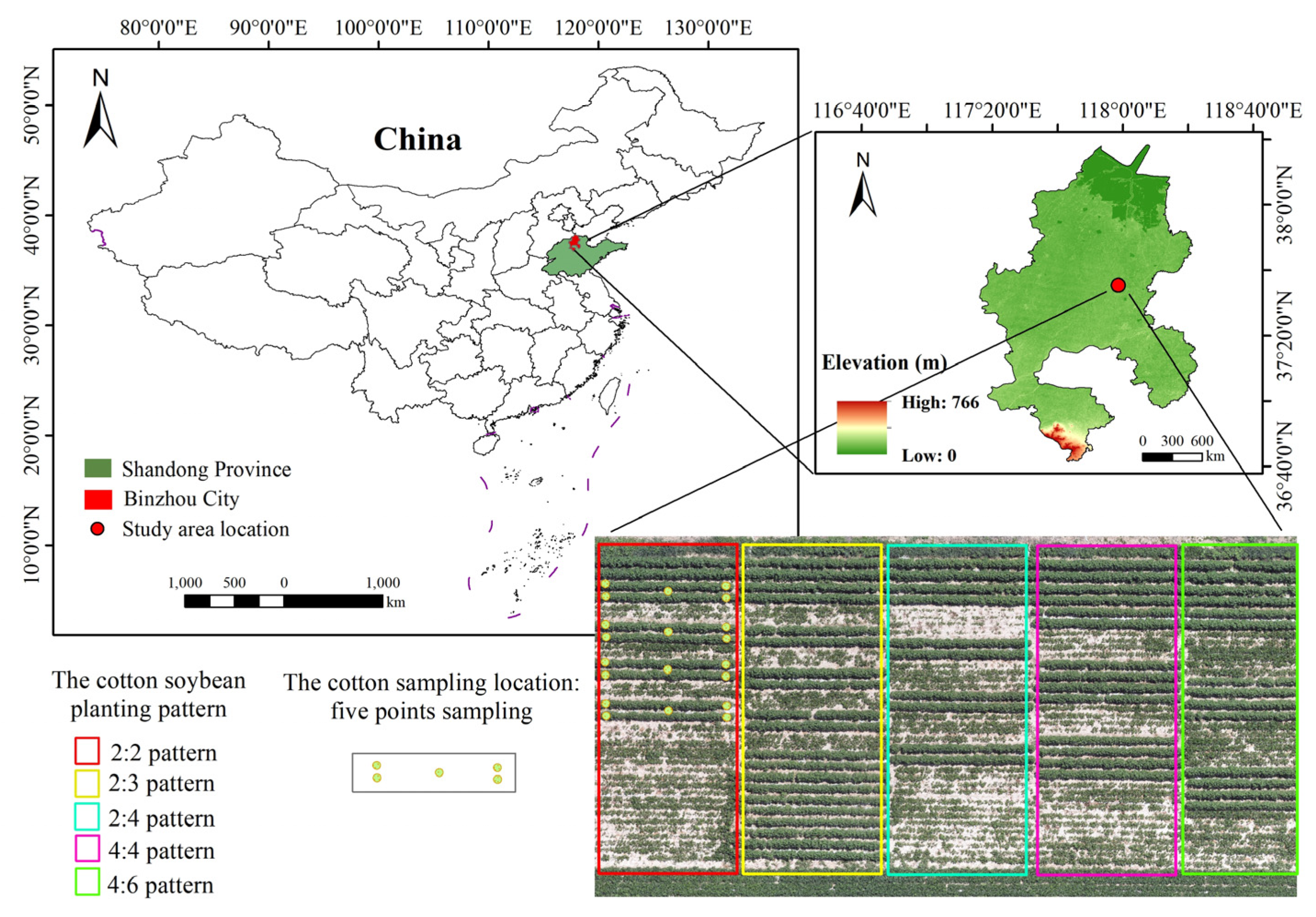 Agronomy 14 02245 g001