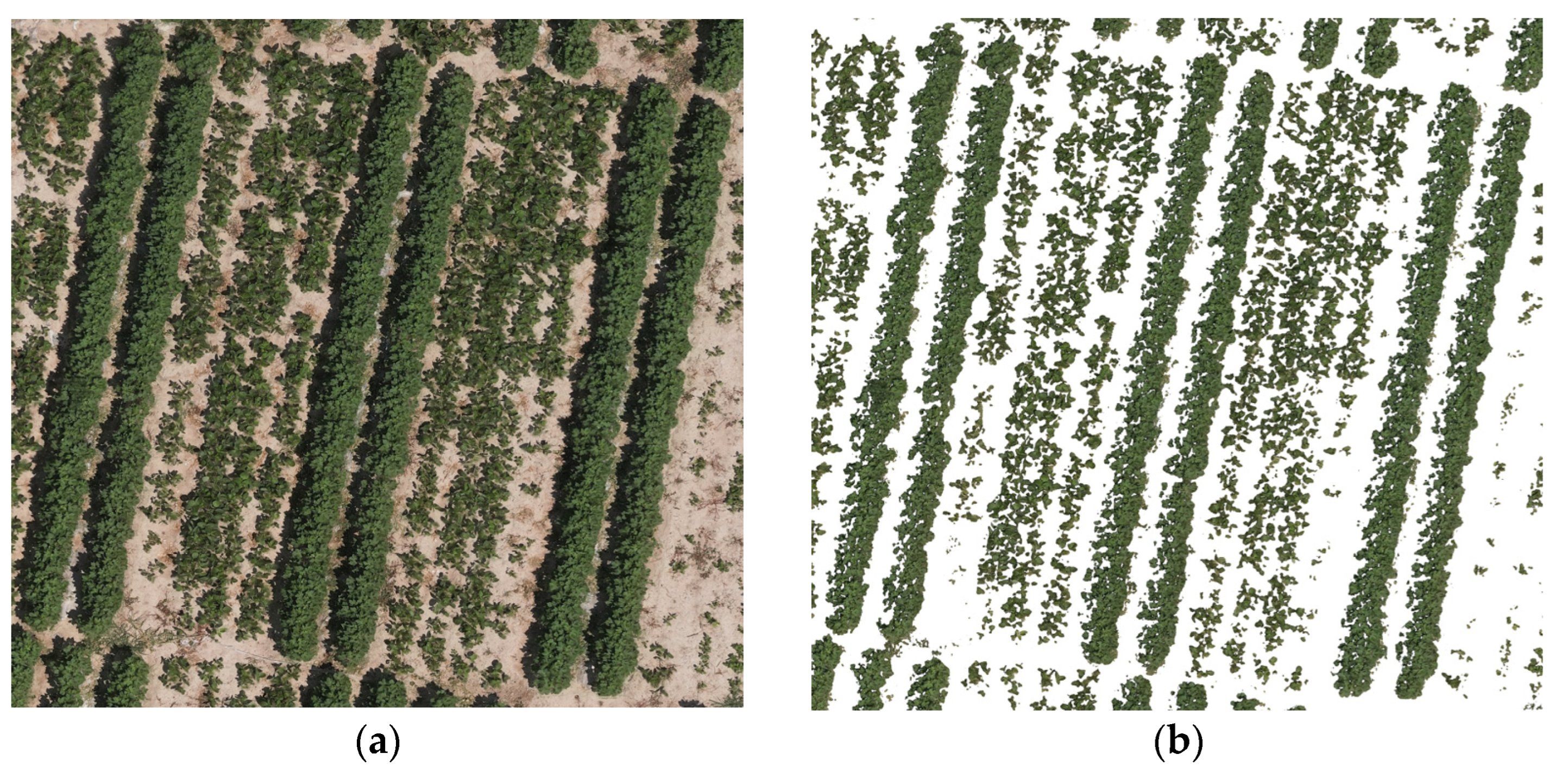 Agronomy 14 02245 g002