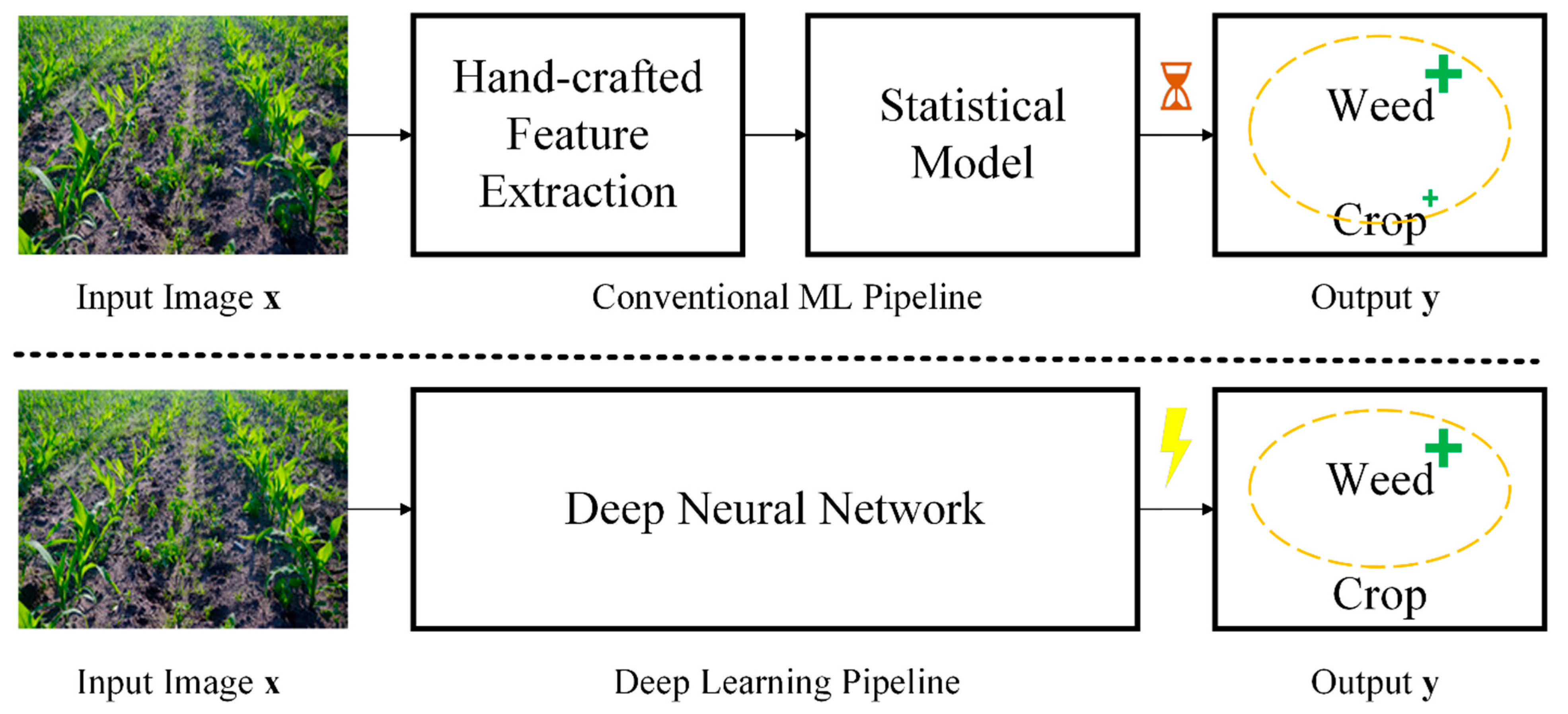 Agronomy 14 02253 g001