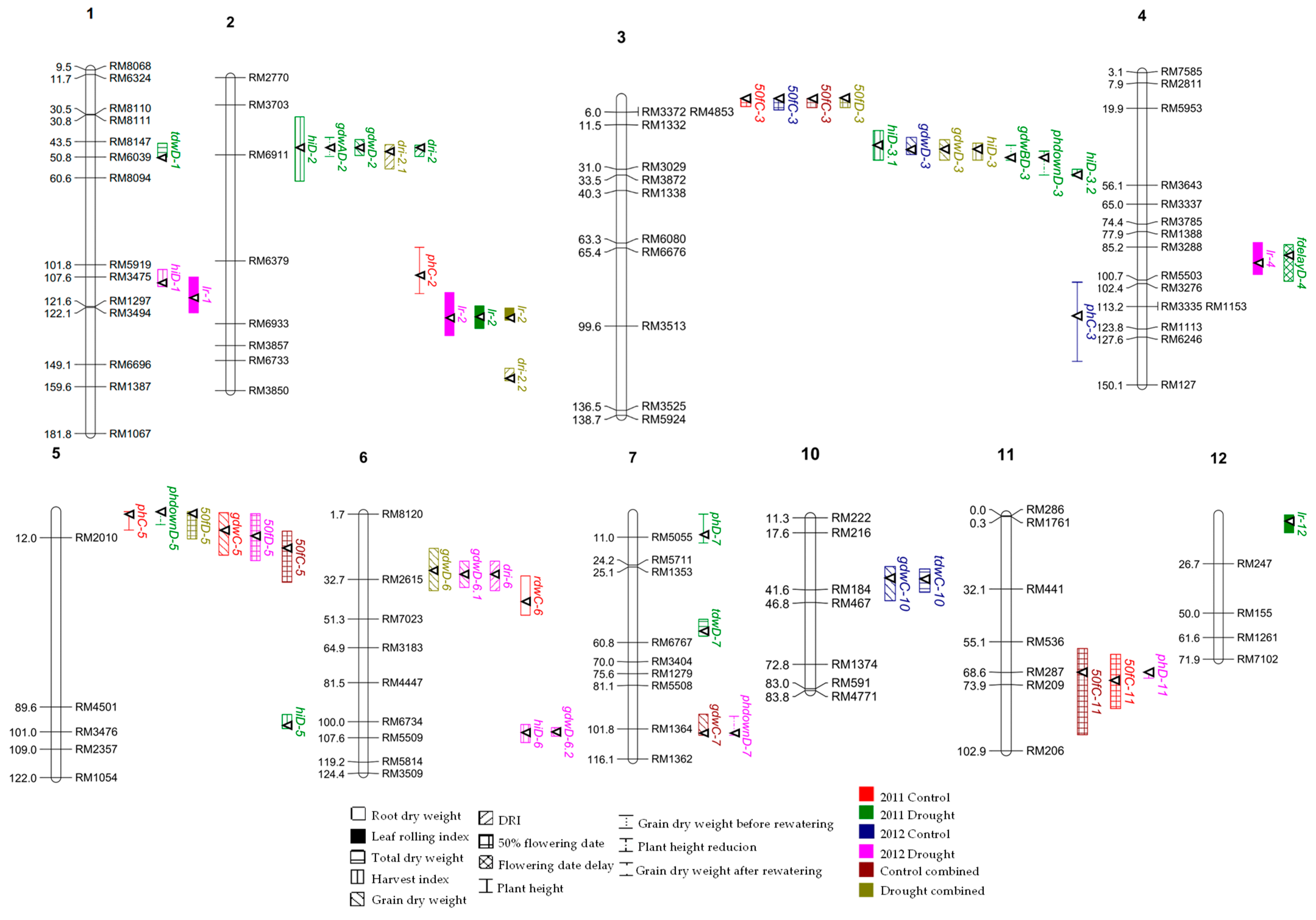 Agronomy 14 02256 g002