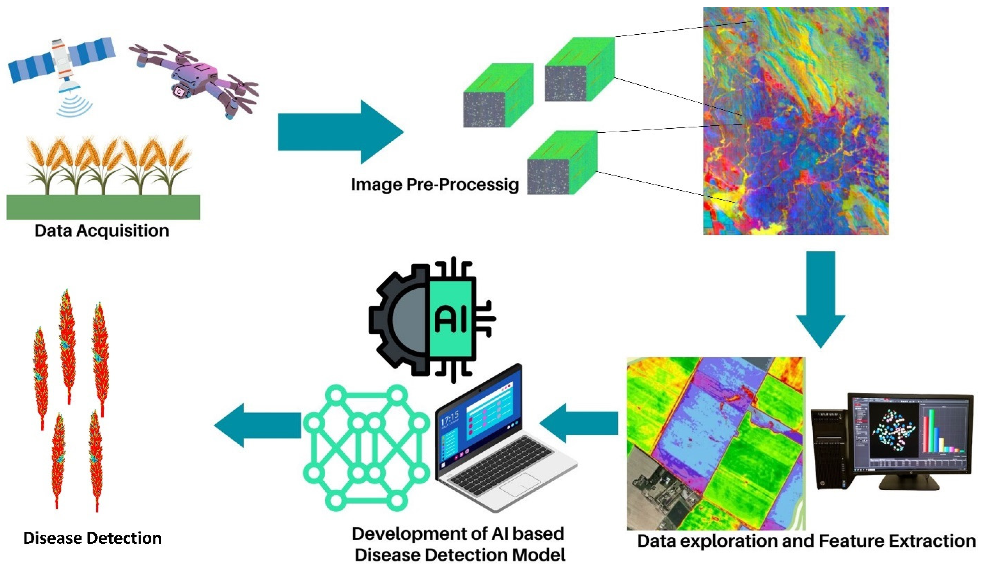 Agronomy 14 02260 g003