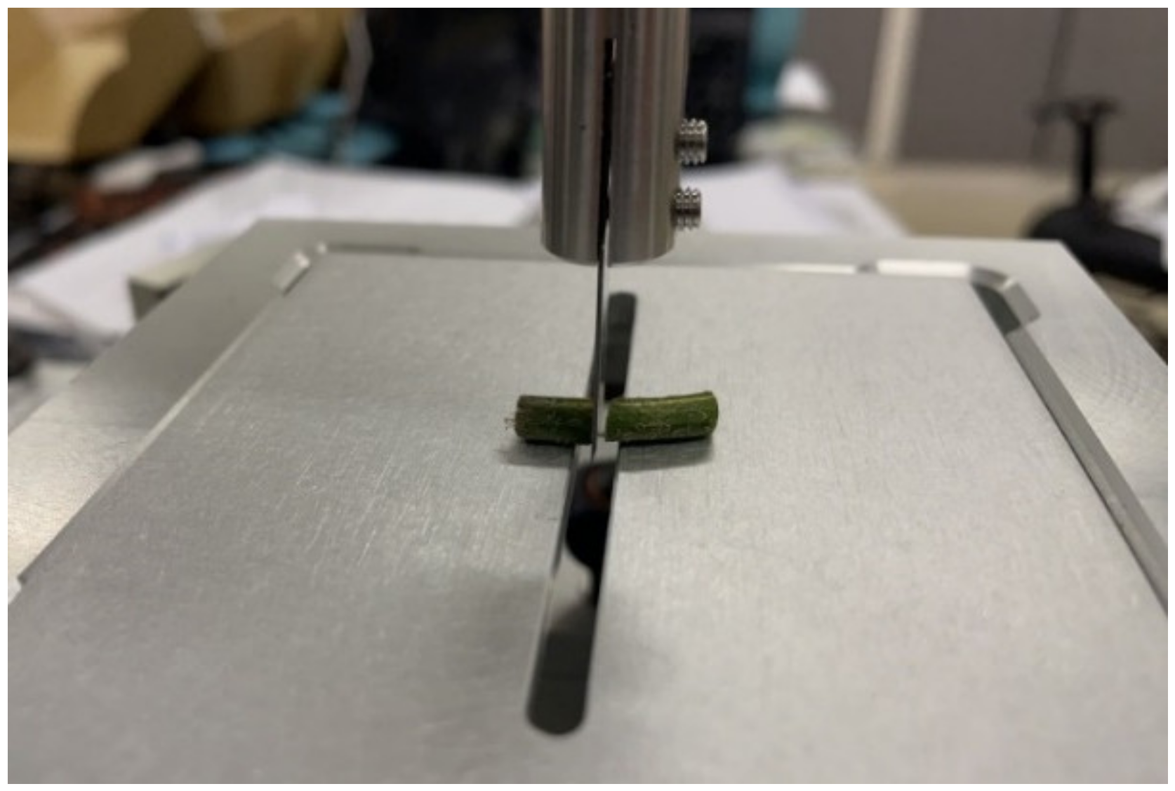 Agronomy 14 02274 g004