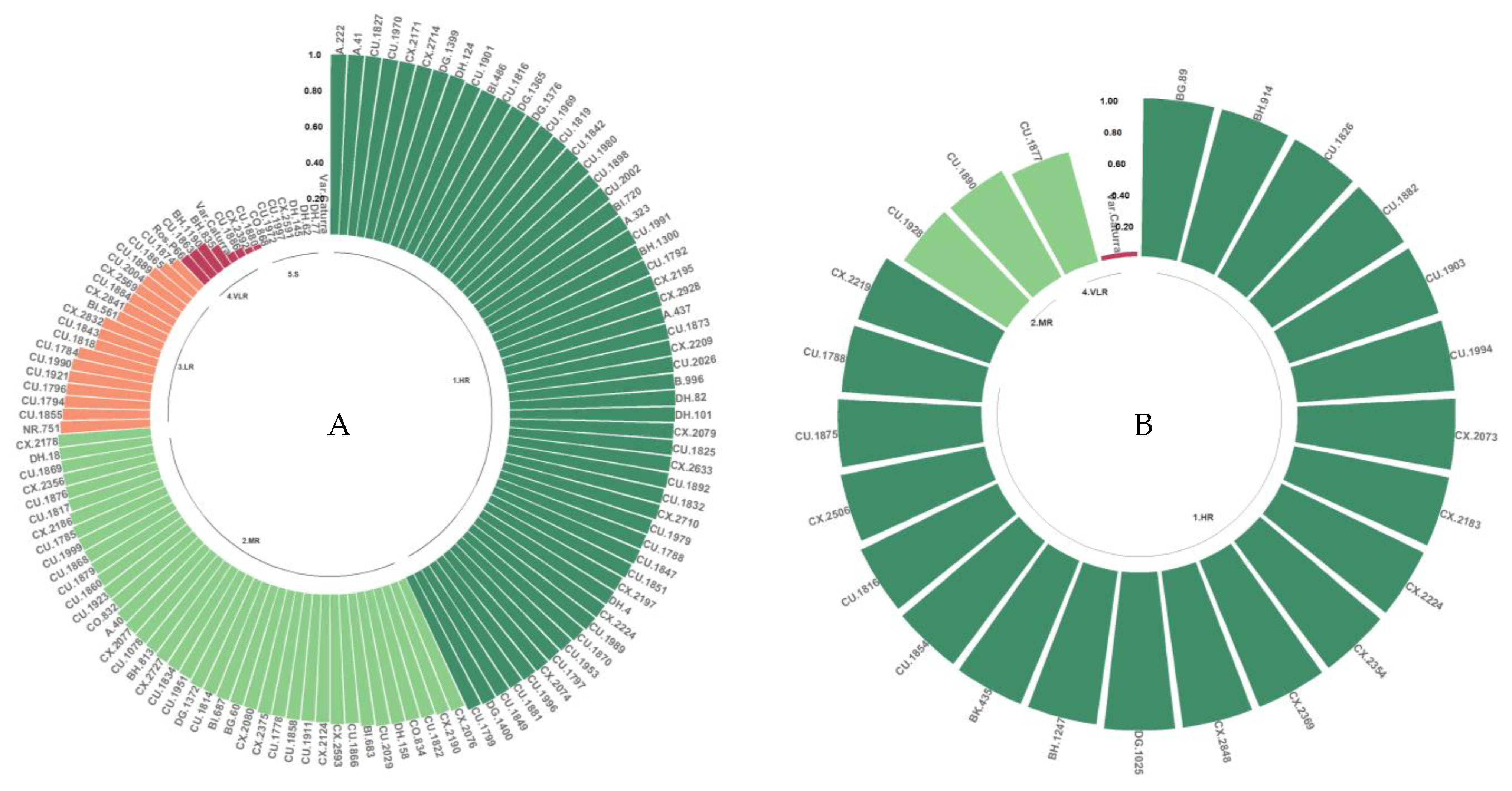 Agronomy 14 02277 g006