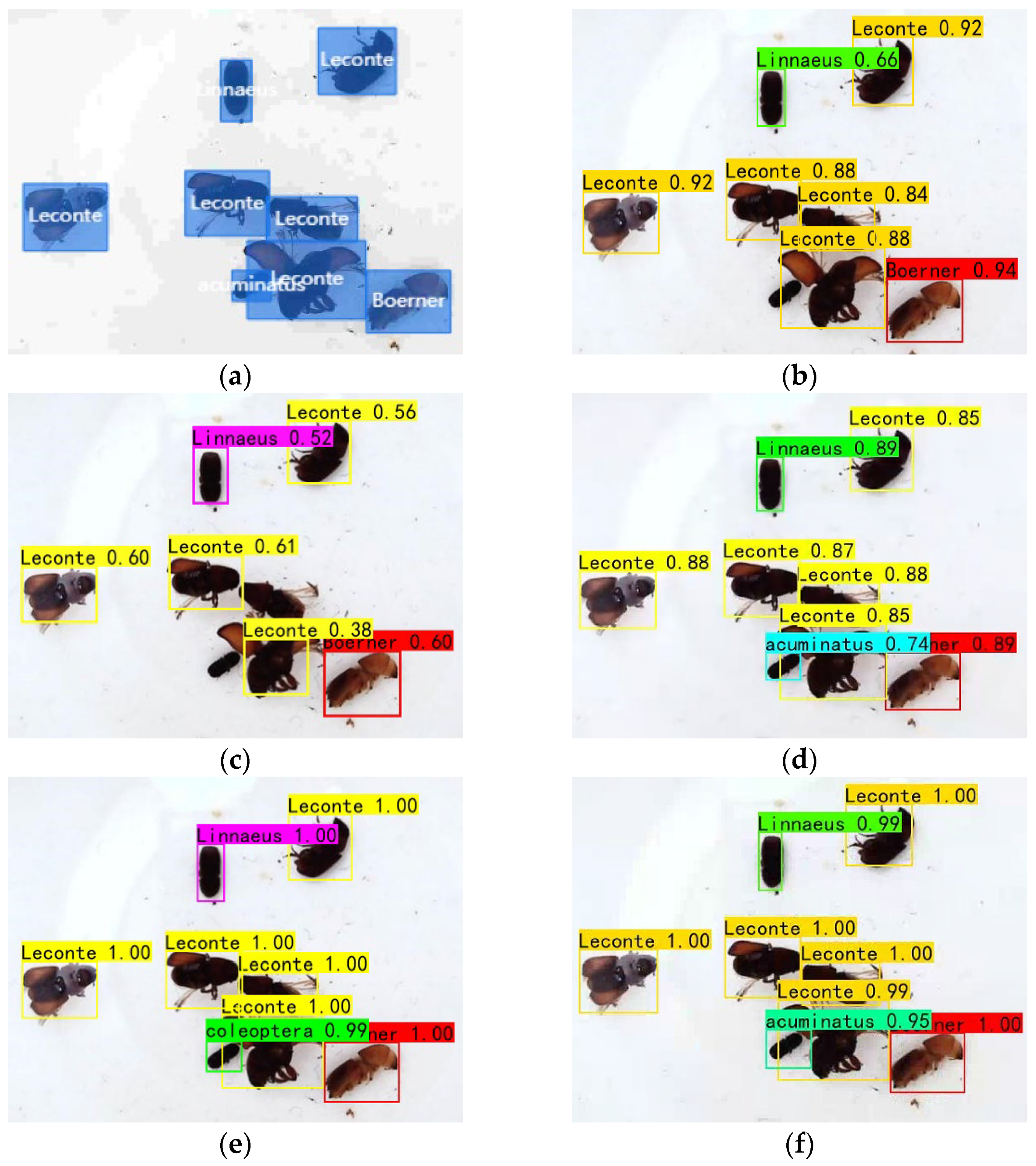 Agronomy 14 02303 g005