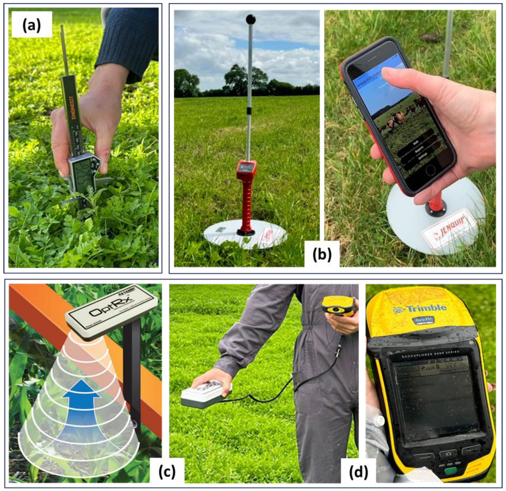 Agronomy 14 02310 g003