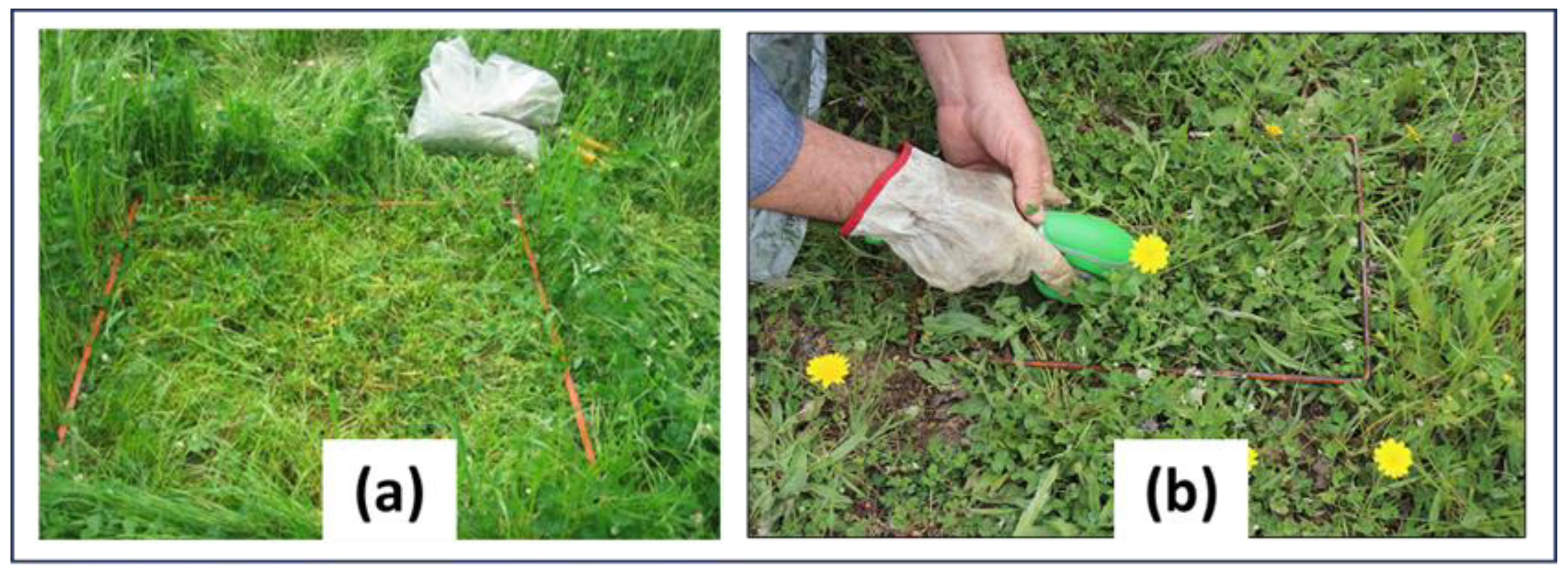 Agronomy 14 02310 g004