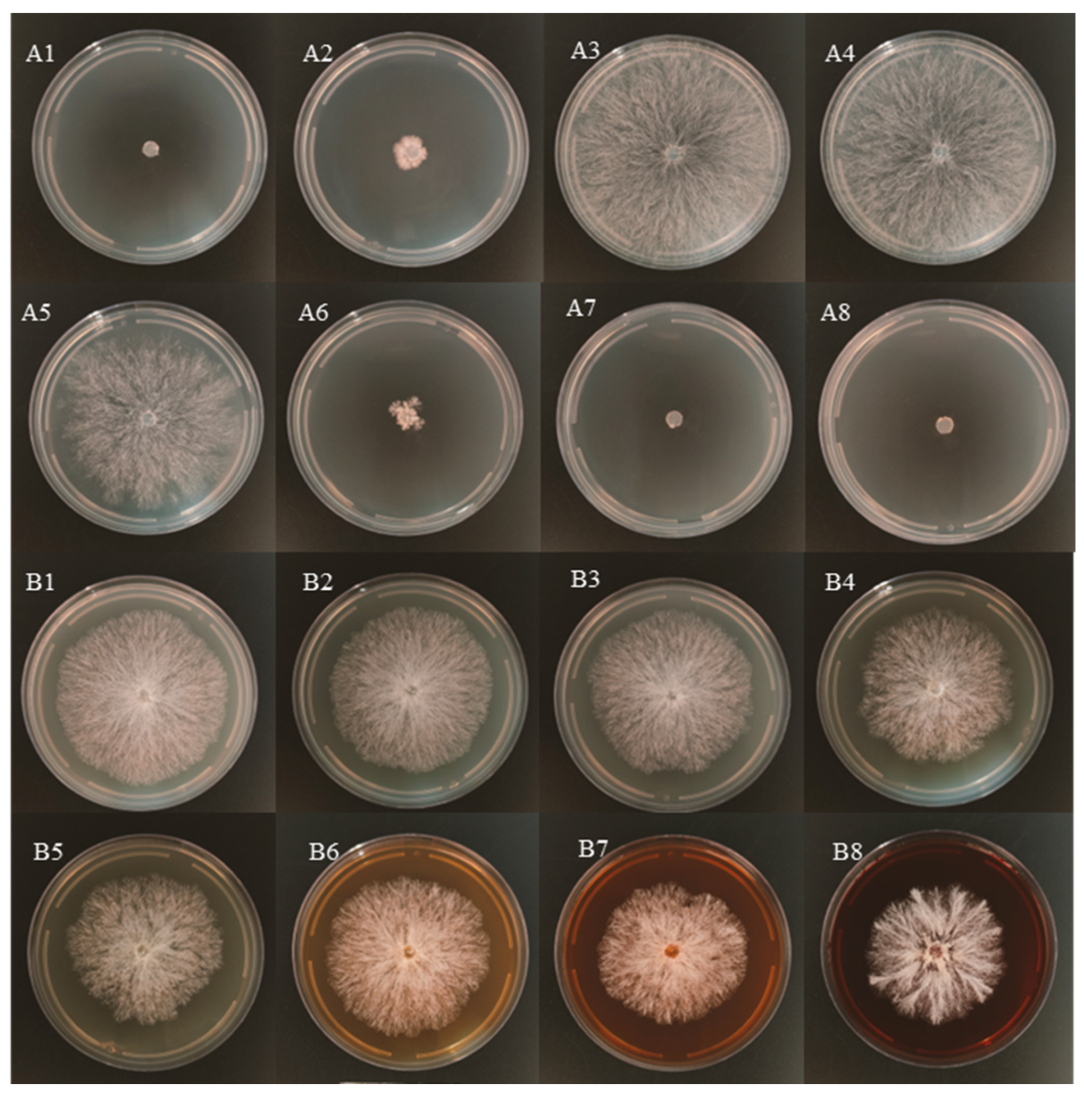 Agronomy 14 02314 g003