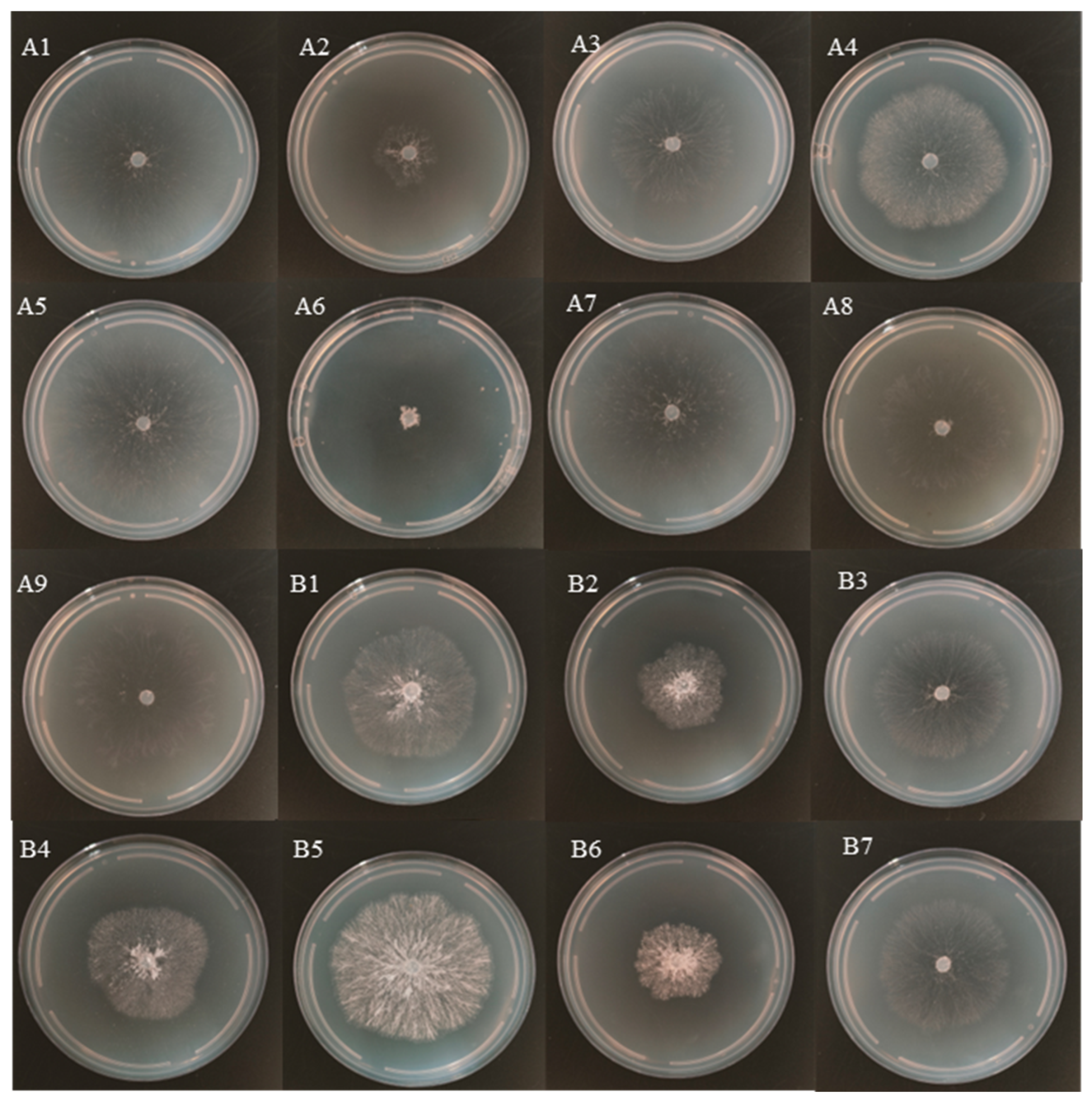 Agronomy 14 02314 g004